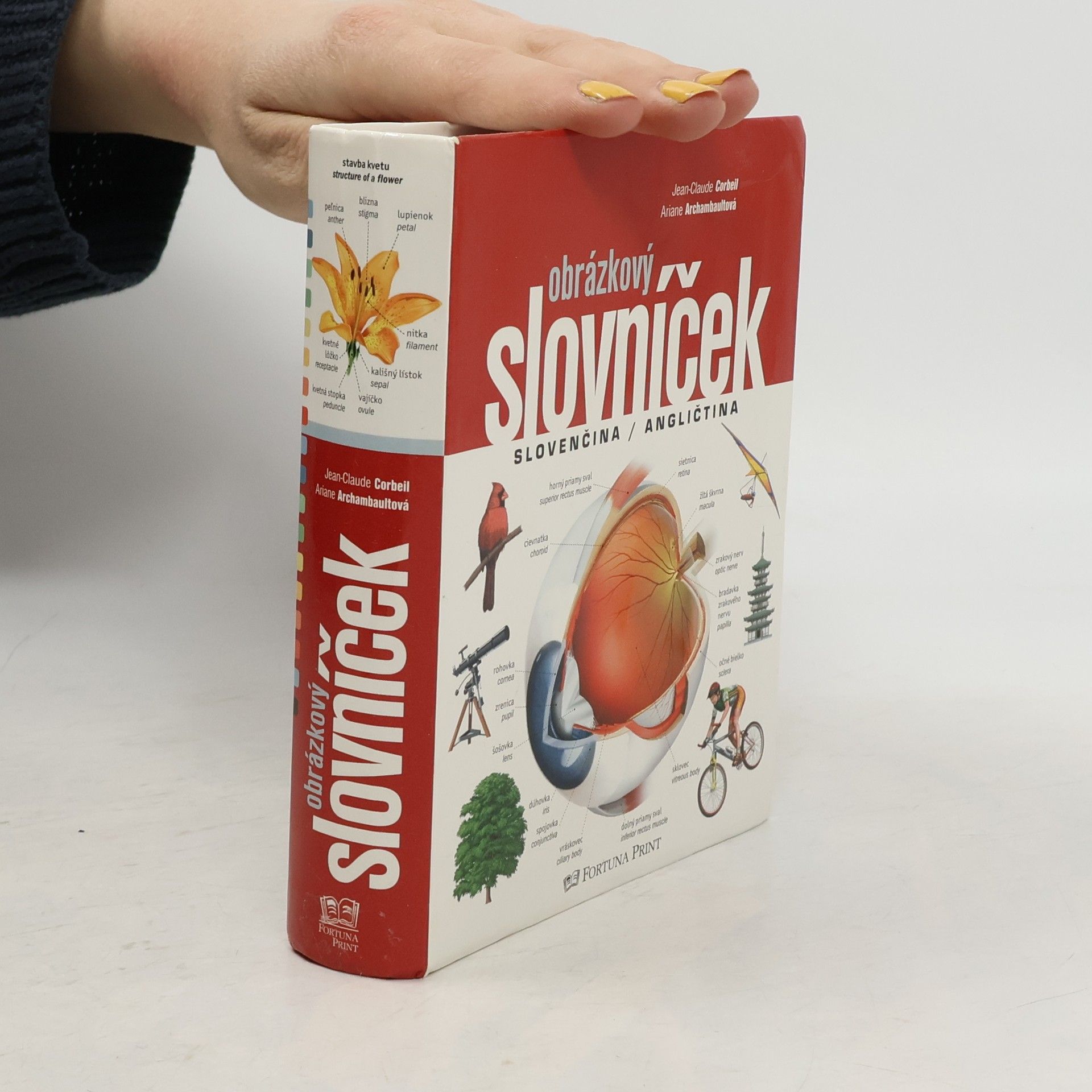 Ariane Archambault Obrázkový slovníček, Slovenčina / Angličtina