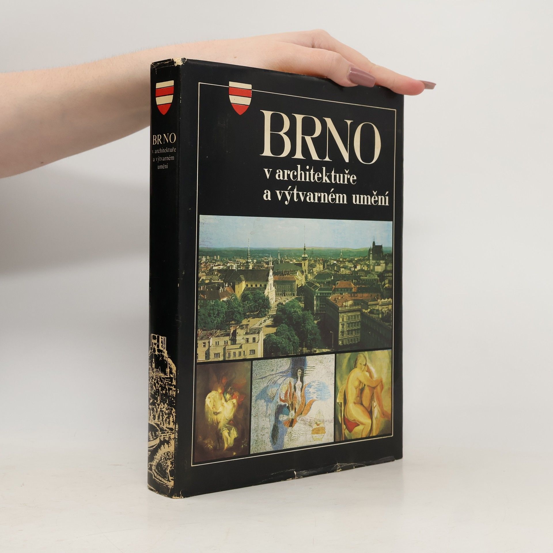 Various authors Brno v architektuře a výtvarném umění