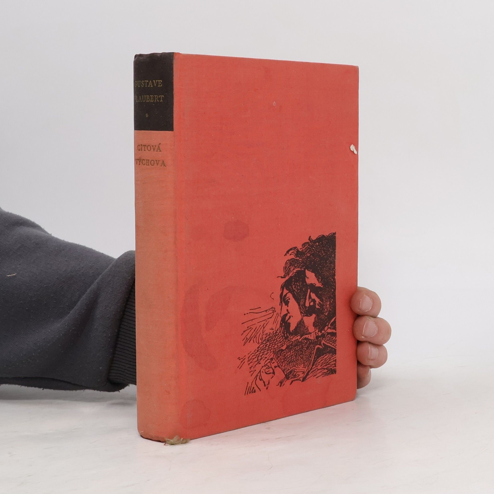 Gustave Flaubert Citová výchova