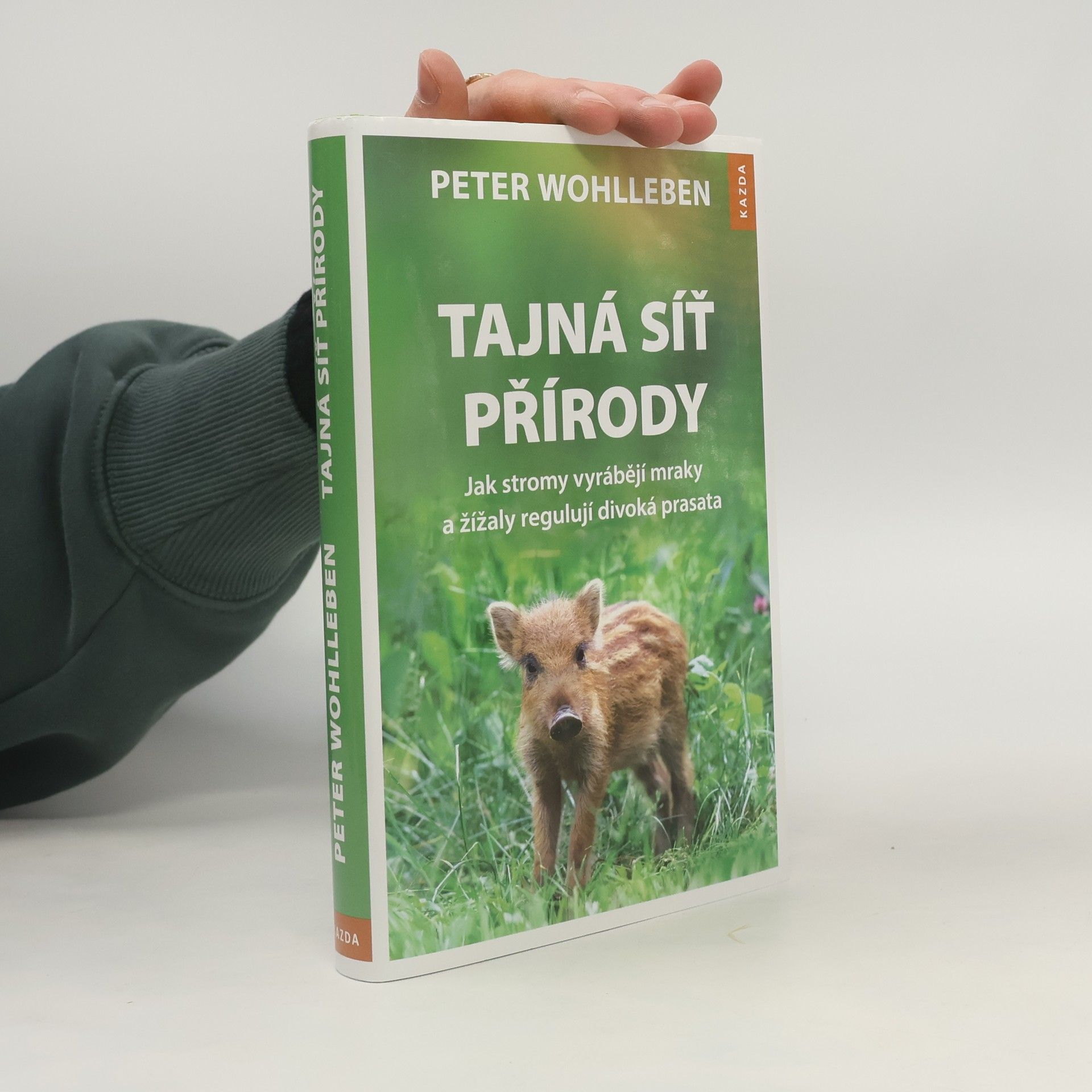 Peter Wohlleben Tajná síť přírody: Jak stromy vyrábějí mraky a žížaly regulují divoká prasata