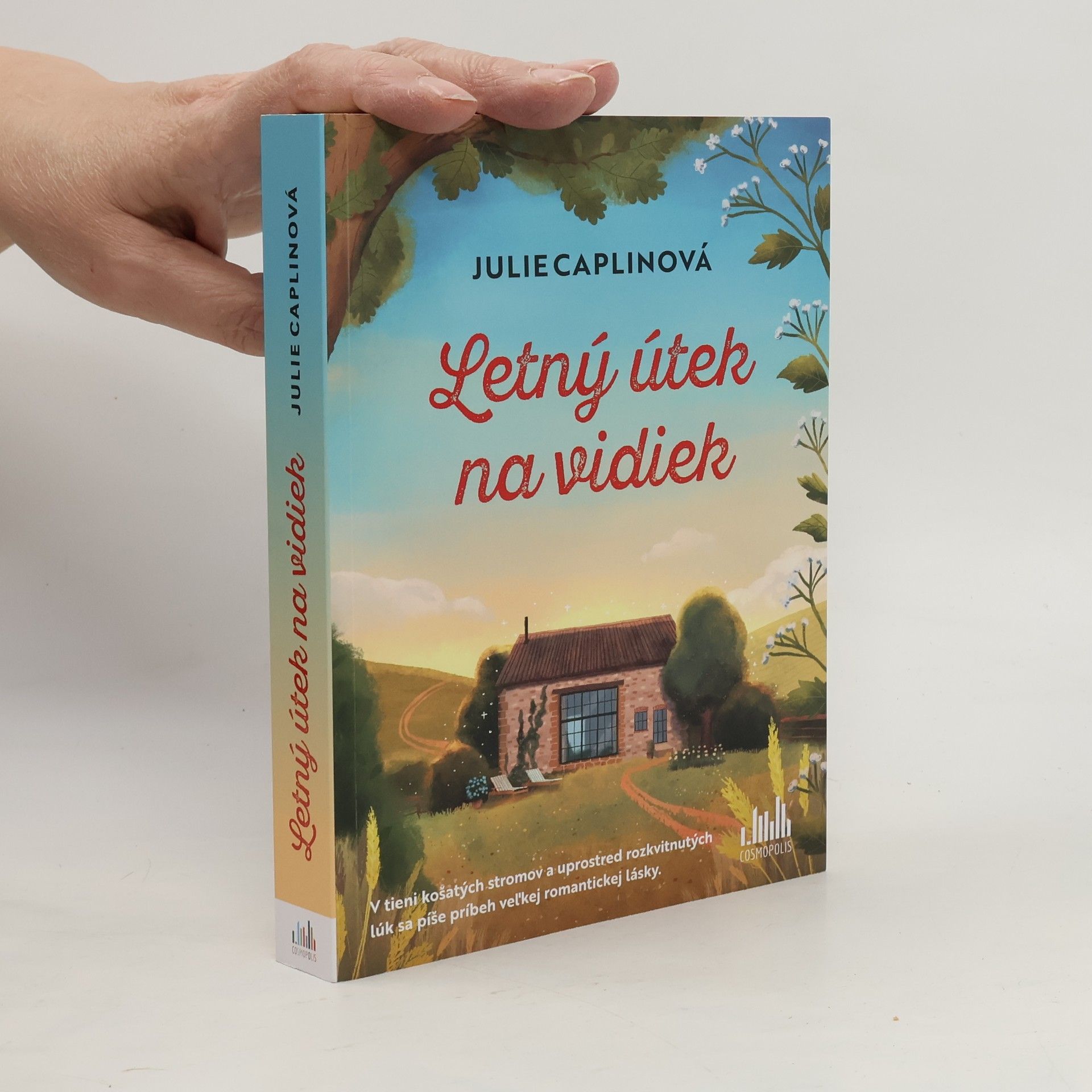 Jarmila Debrecká Letný útek na vidiek