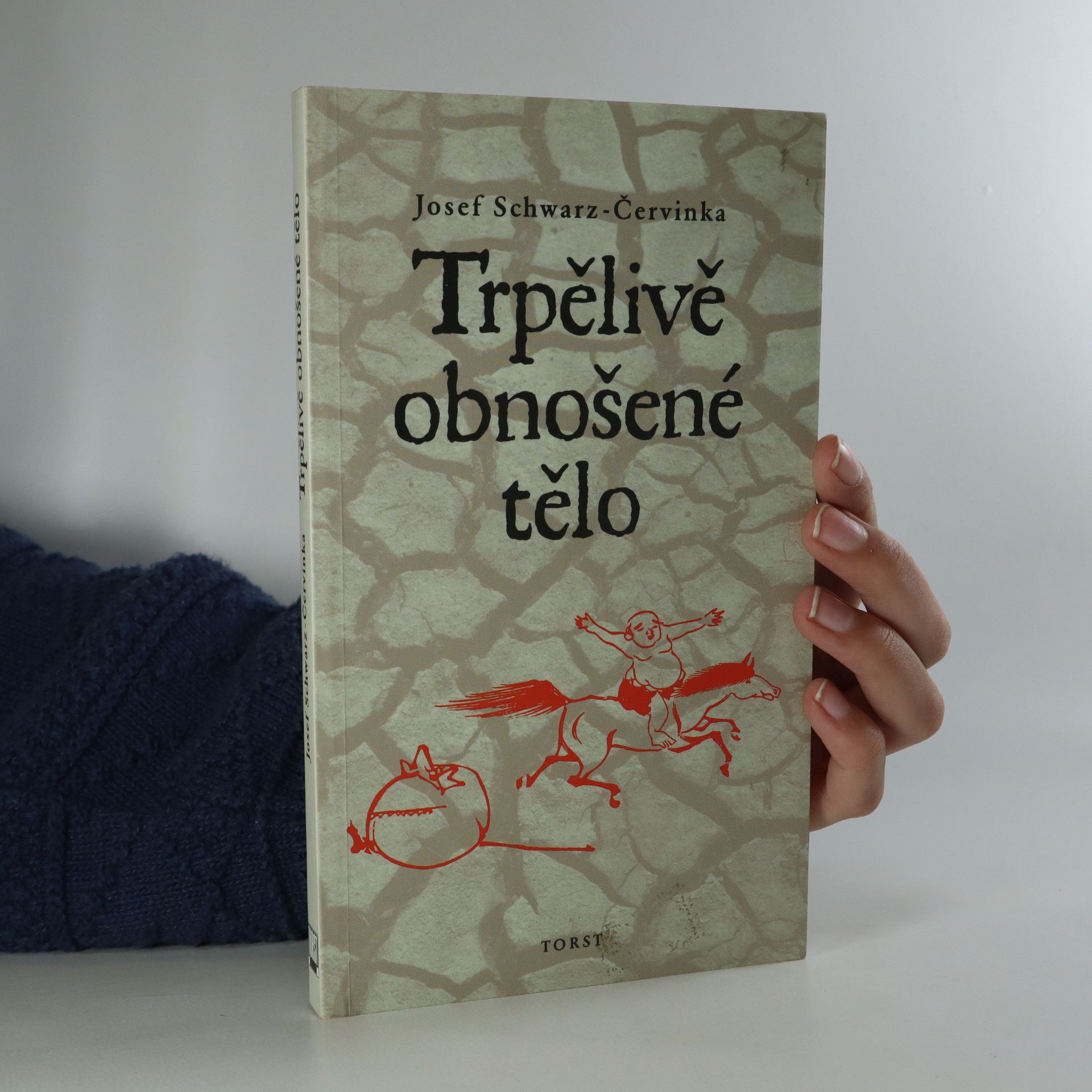 Franz-Josef Schwarz Trpělivě obnošené tělo