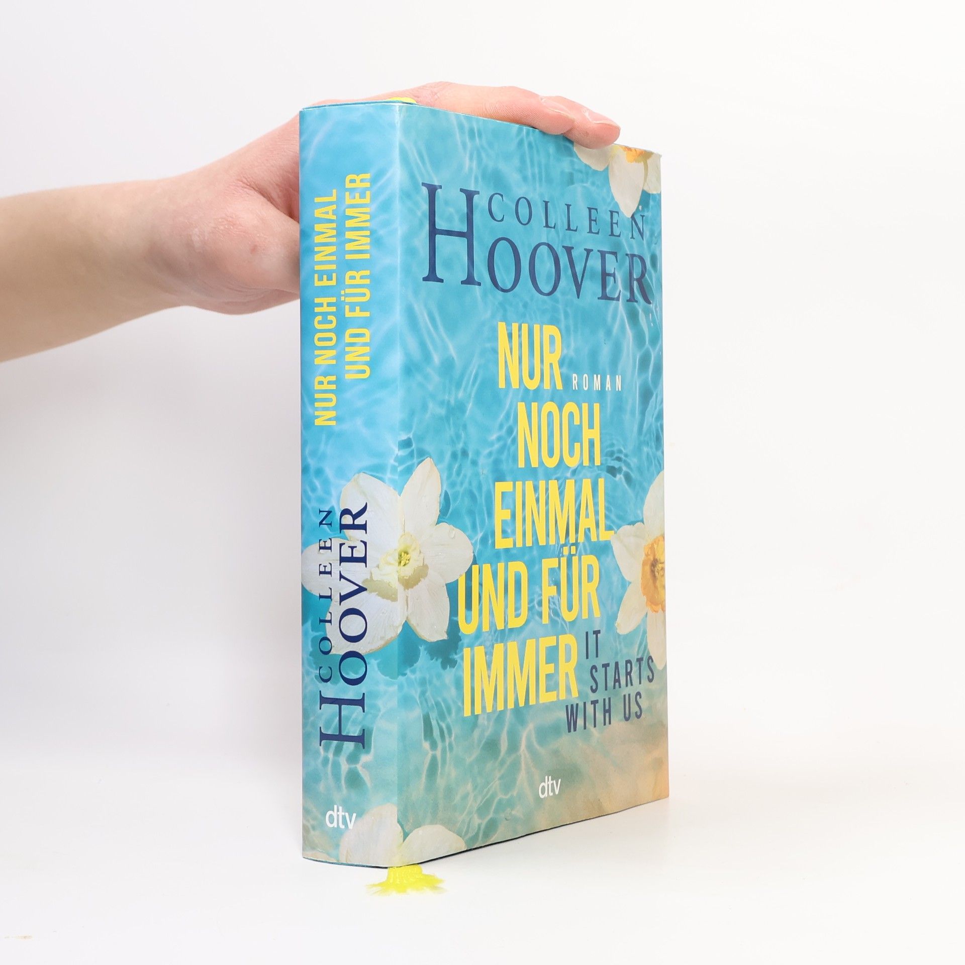 Colleen Hoover Nur noch einmal und für immer