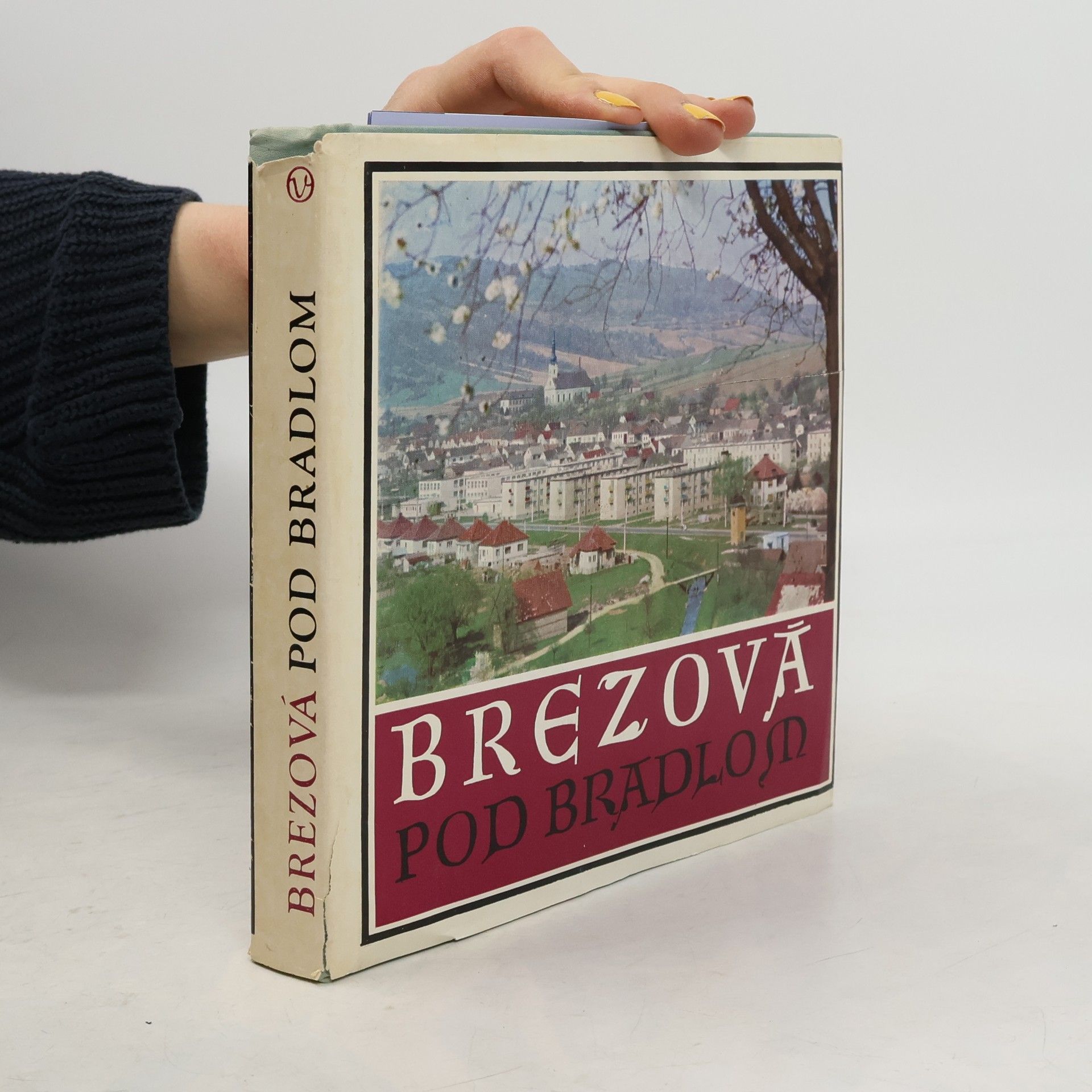 Jan Michálek Brezová pod Bradlom