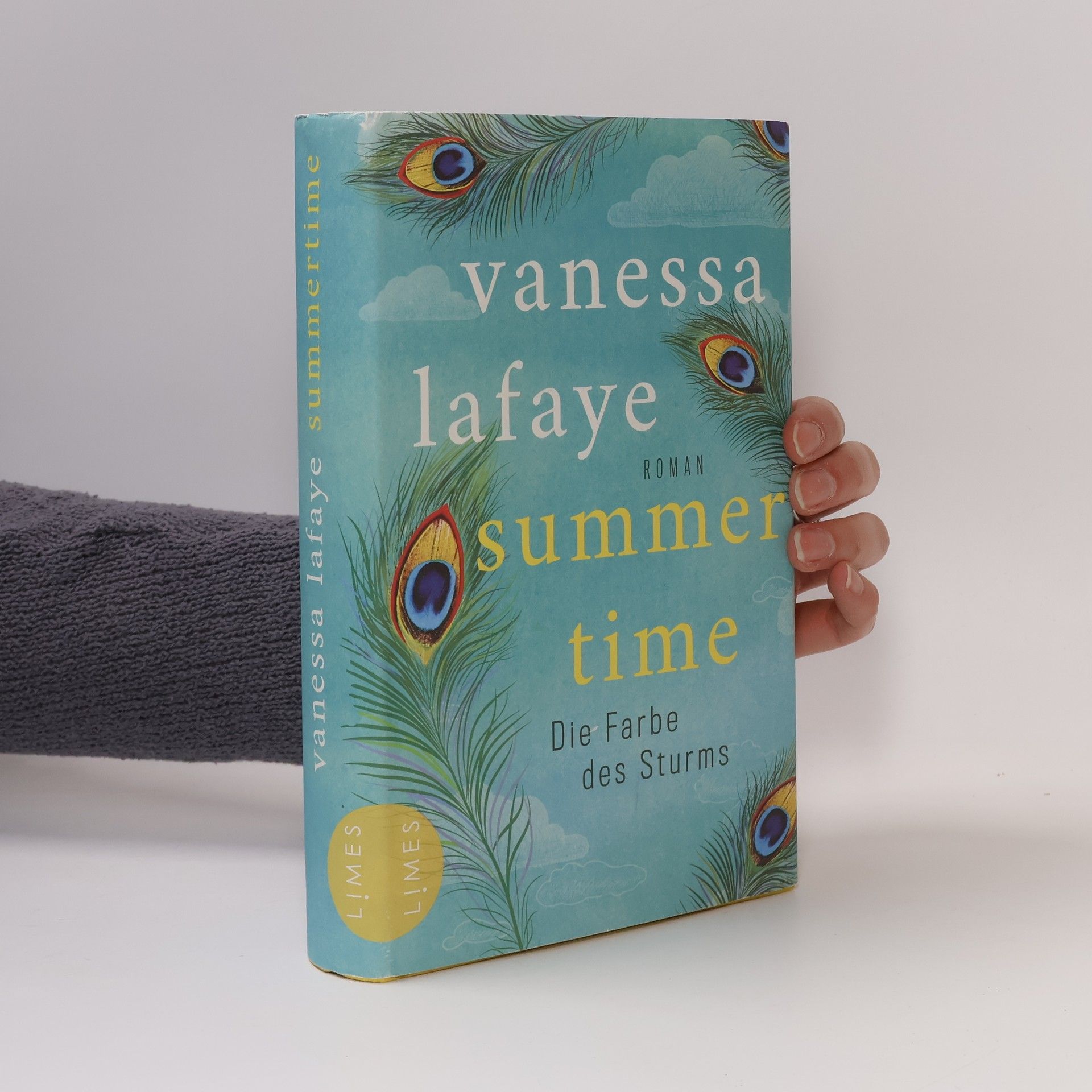 Vanessa Lafaye Summertime - die Farbe des Sturms