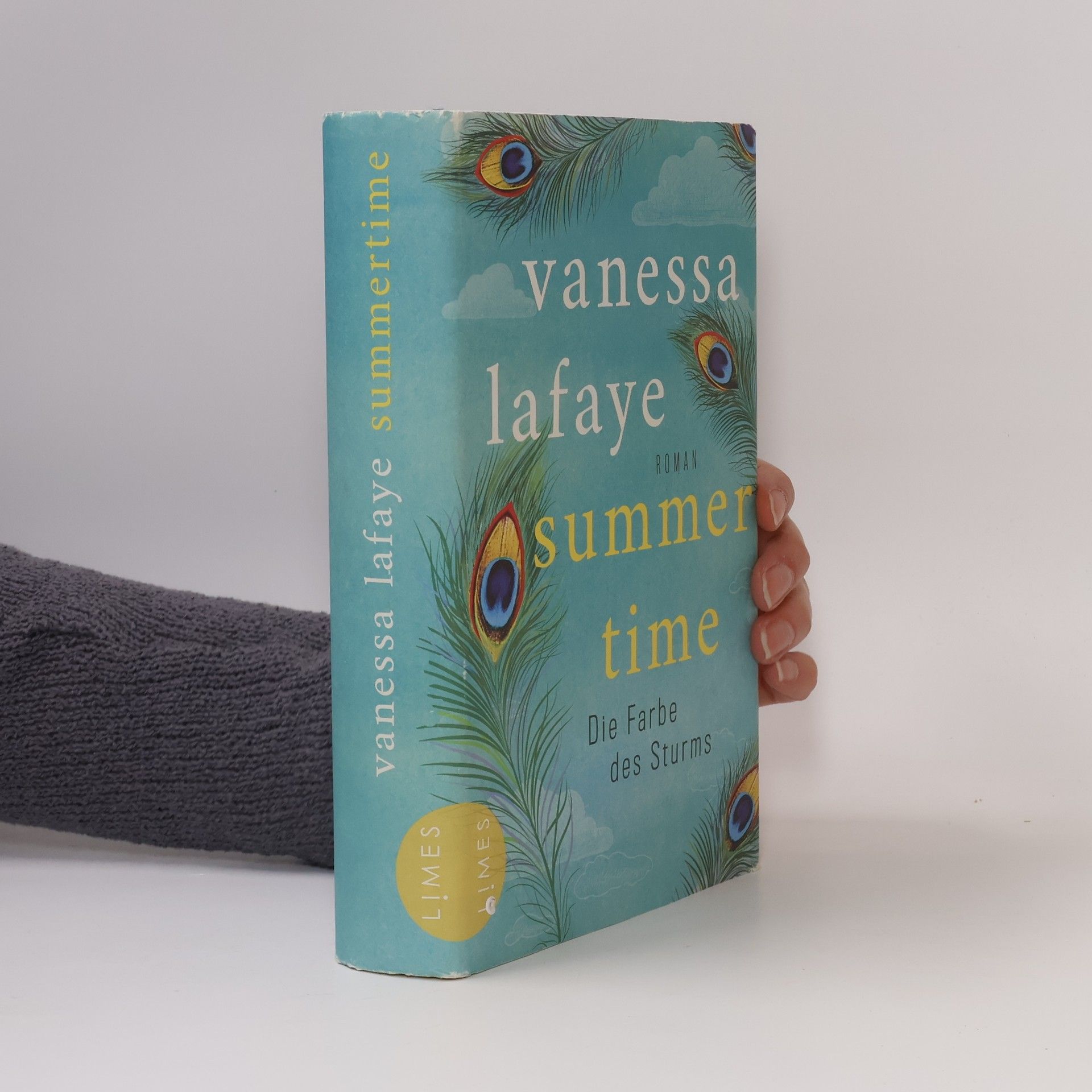 Vanessa Lafaye Summertime - die Farbe des Sturms