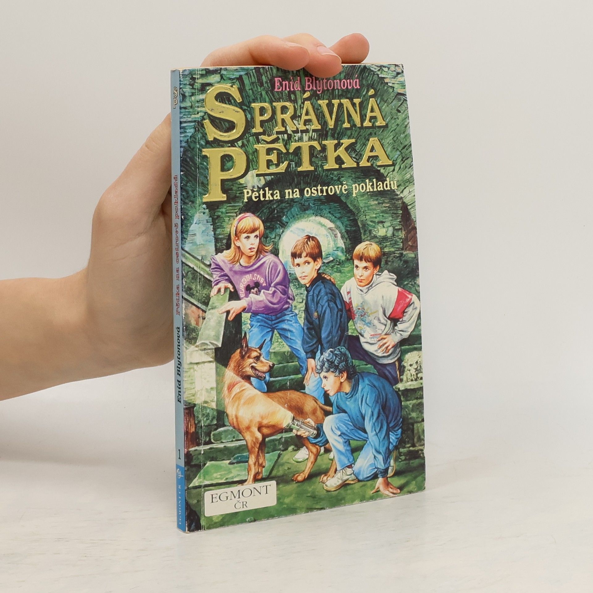 Enid Blyton Správná pětka, Pětka na ostrově pokladů