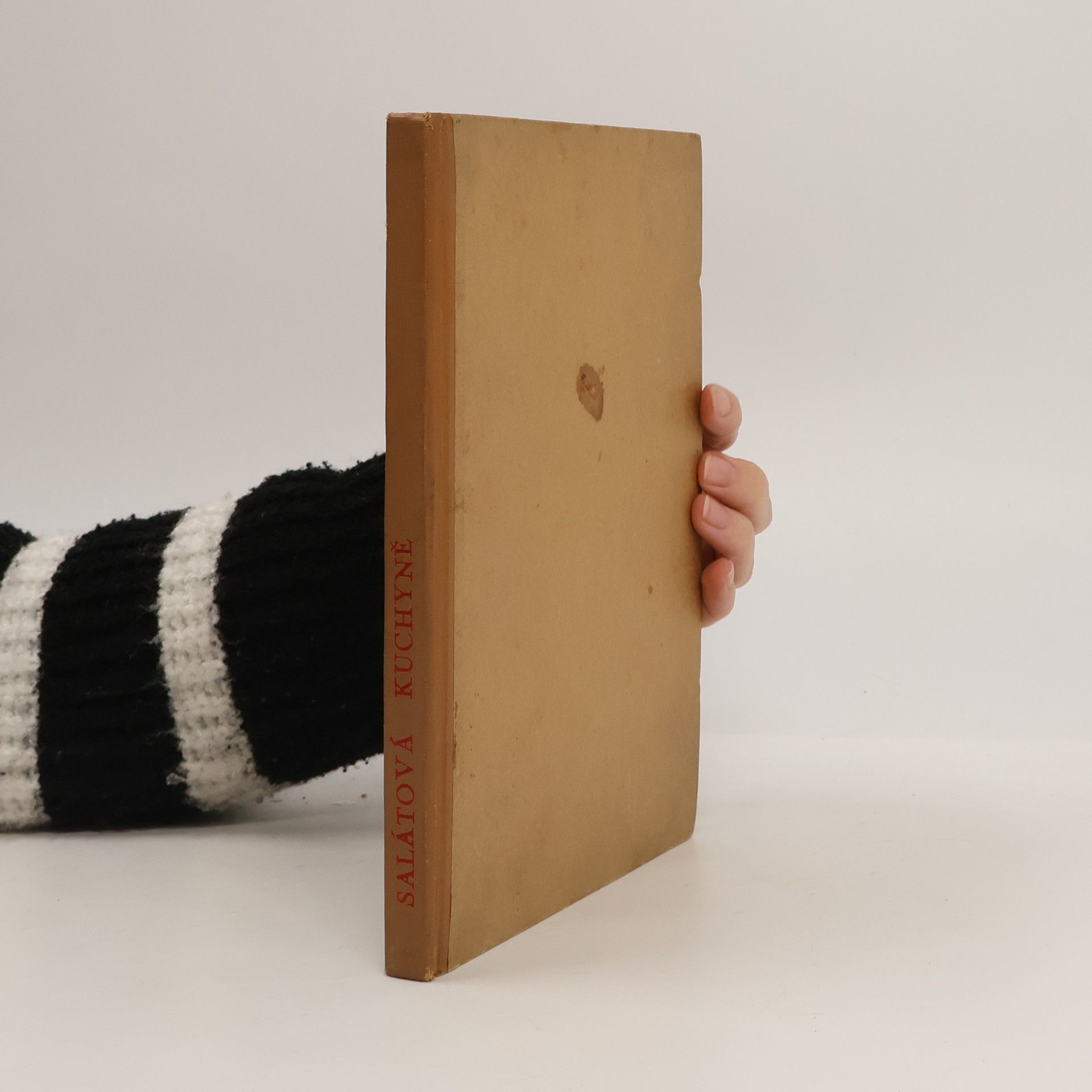 Kolektiv autorů Salátová kuchyně