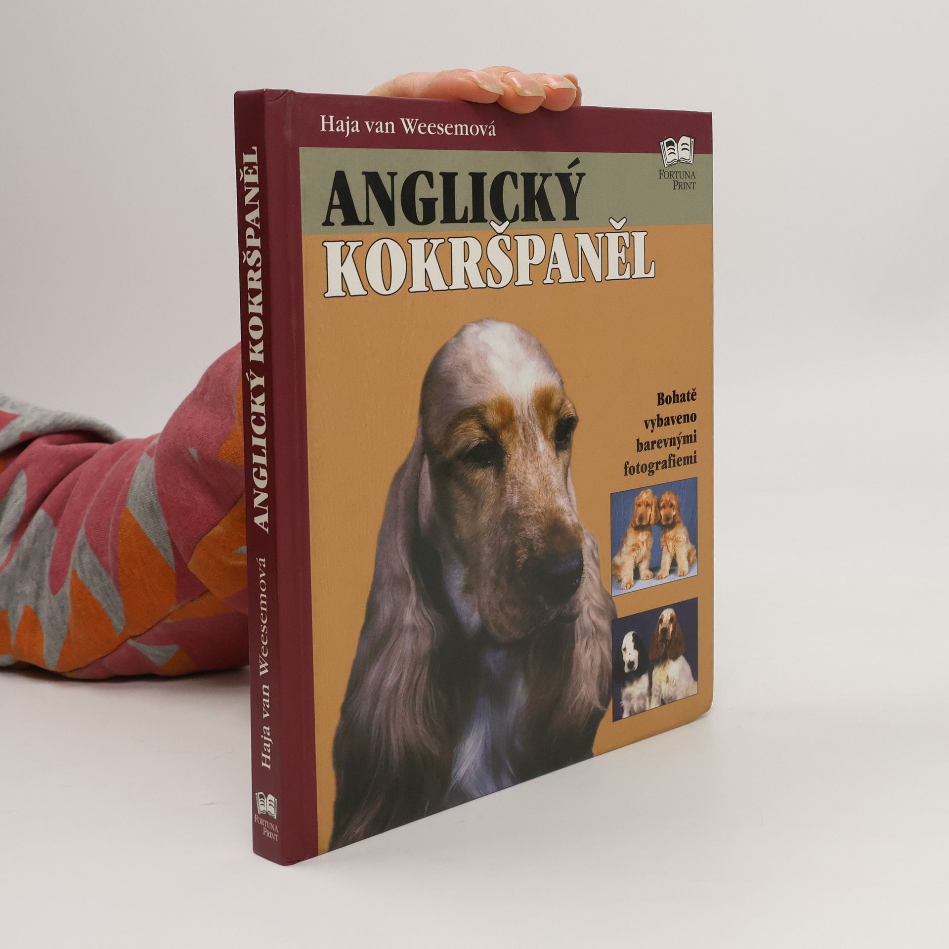 Haja van Wessem Anglický kokršpaněl