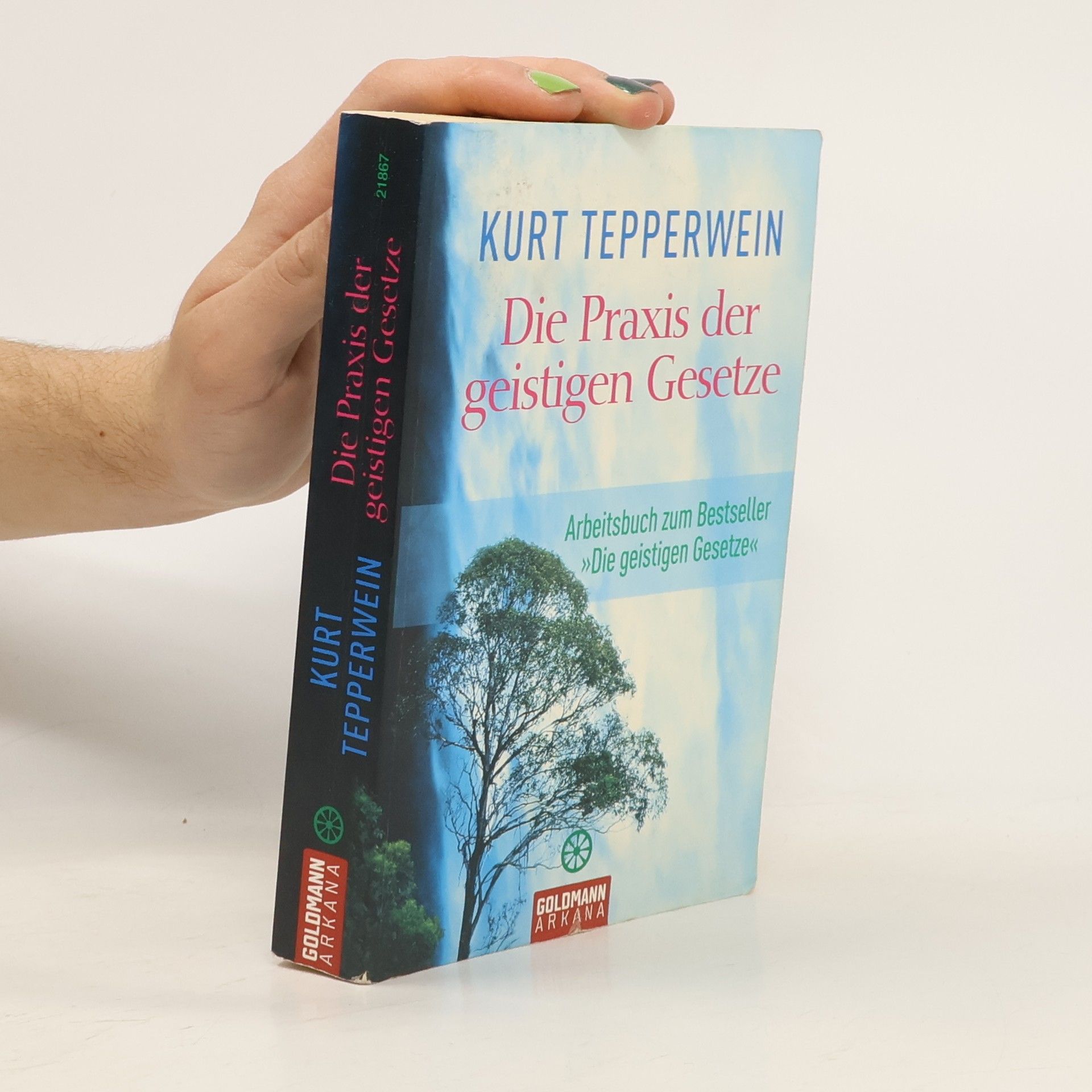 Kurt Tepperwein Die Praxis der geistigen Gesetze