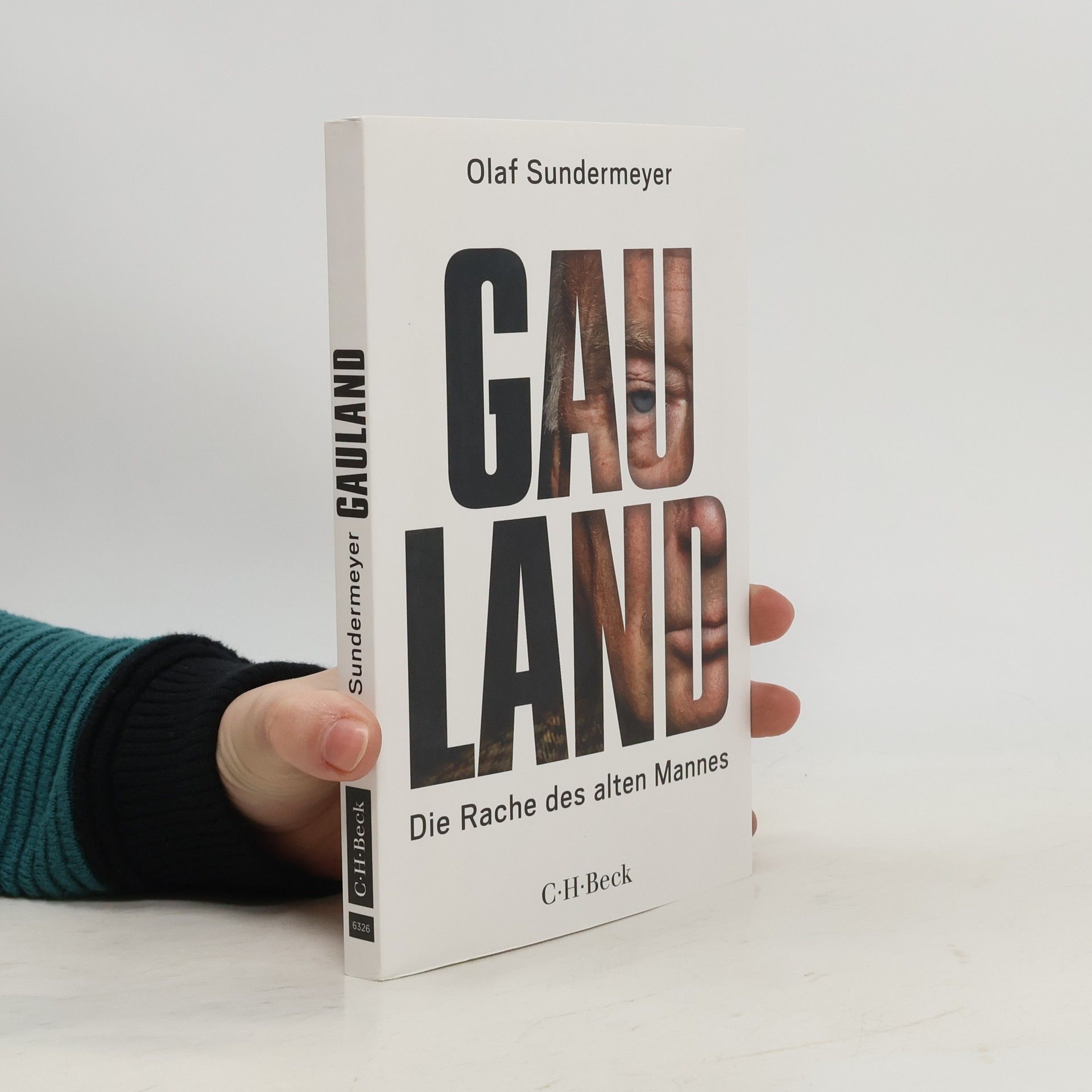 Olaf Sundermeyer Gauland