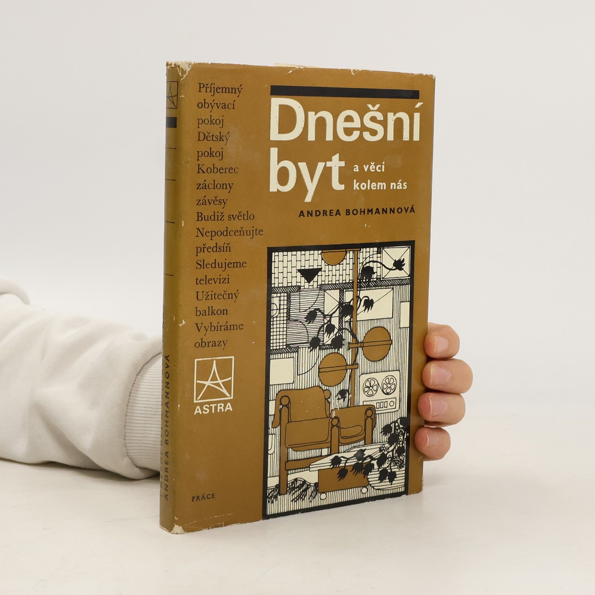 Andrea Bohmannová Dnešní byt a věci kolem nás