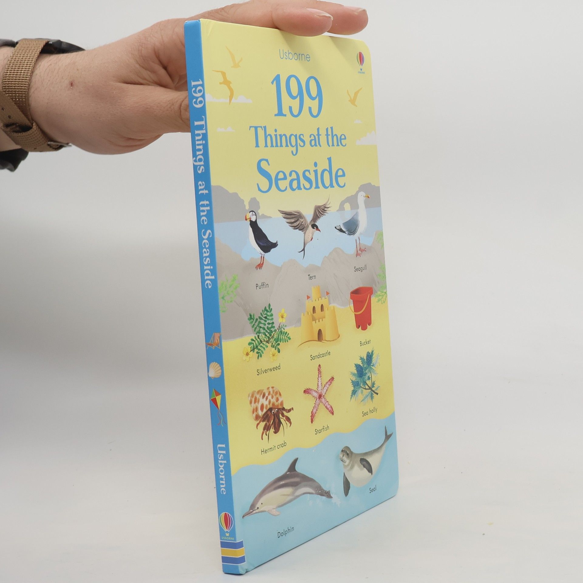 Kolektiv autorů 199 Things at the Seaside