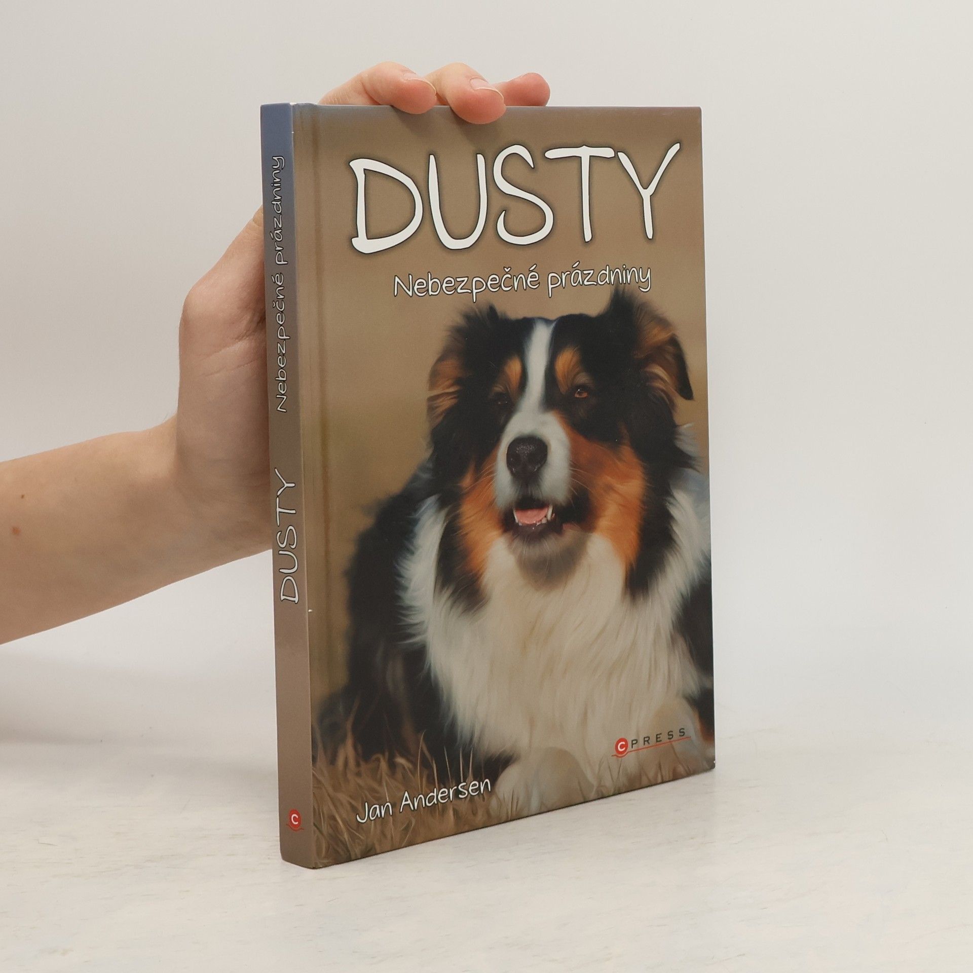 Wolfram Hänel Dusty: Nebezpečné prázdniny