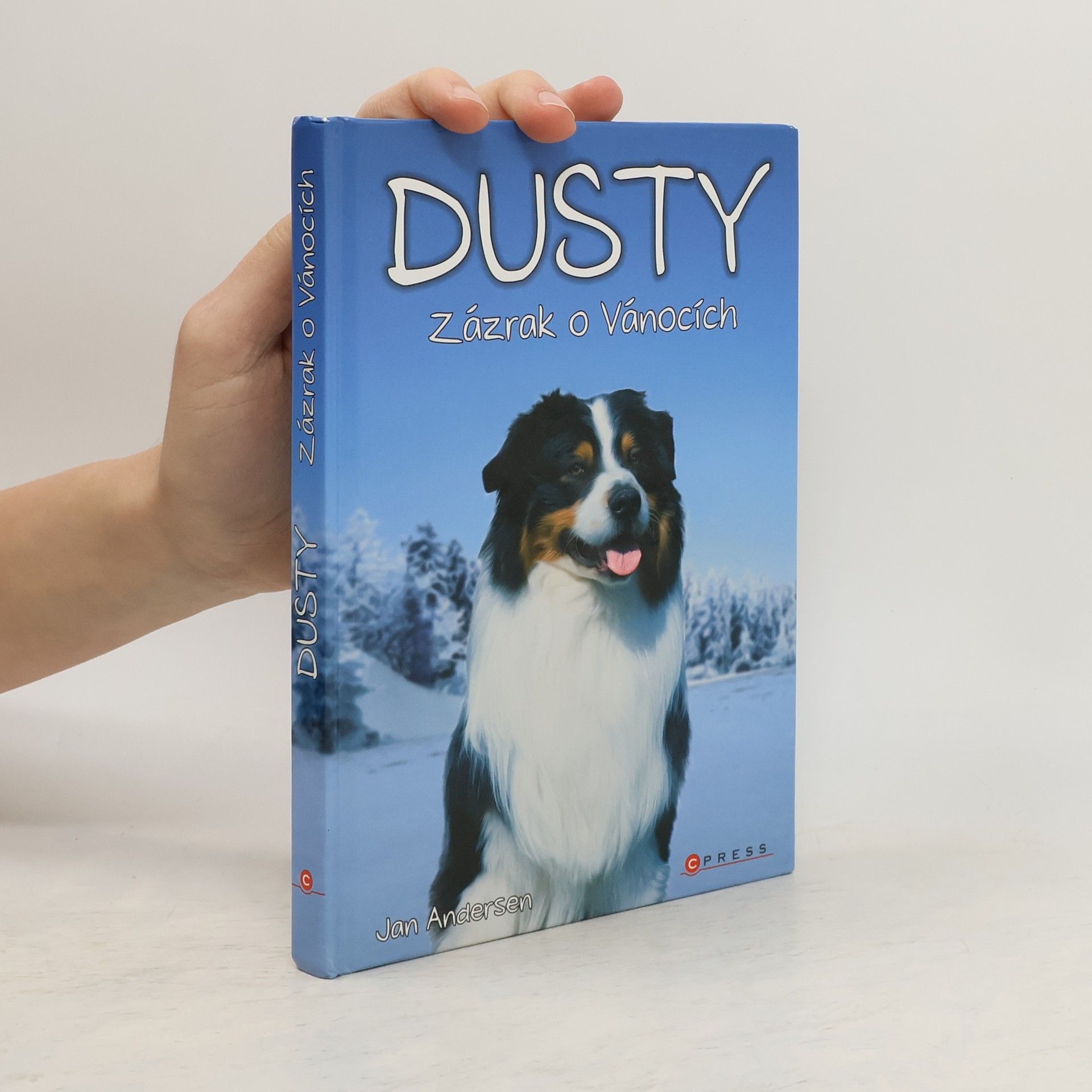 Wolfram Hänel Dusty: Zázrak o Vánocích