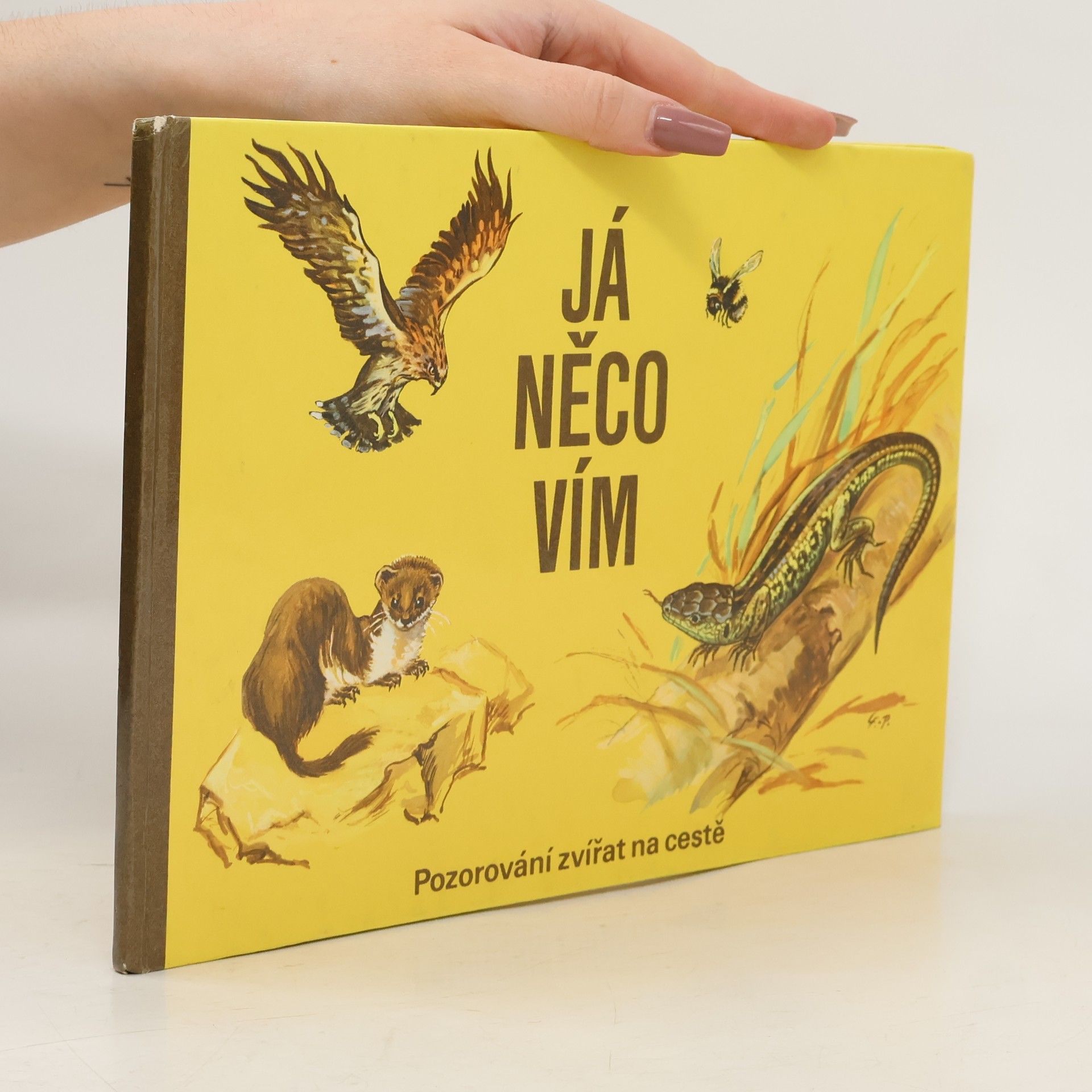 Já něco vím. Pozorování zvířat na cestě