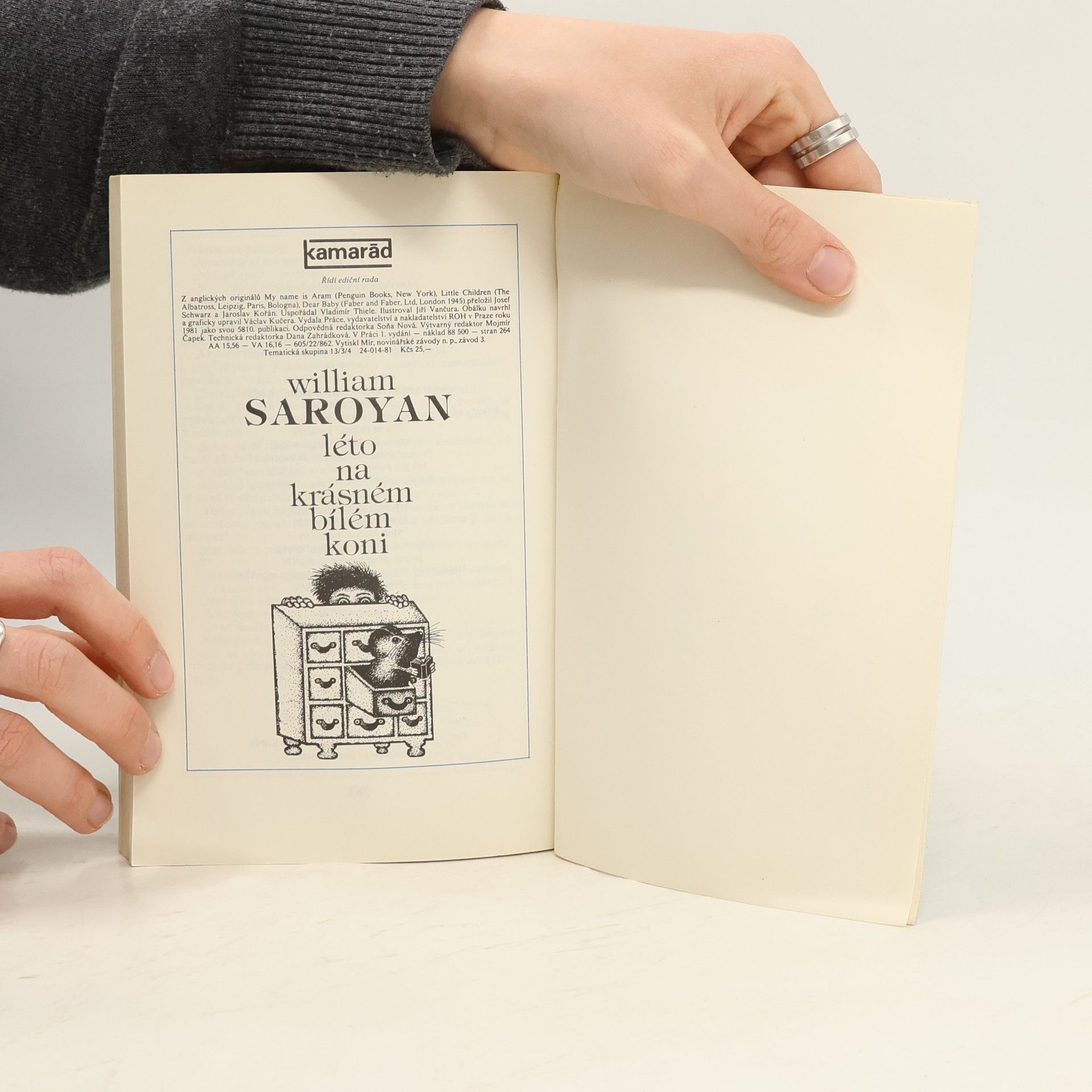 William Saroyan Léto na krásném bílém koni