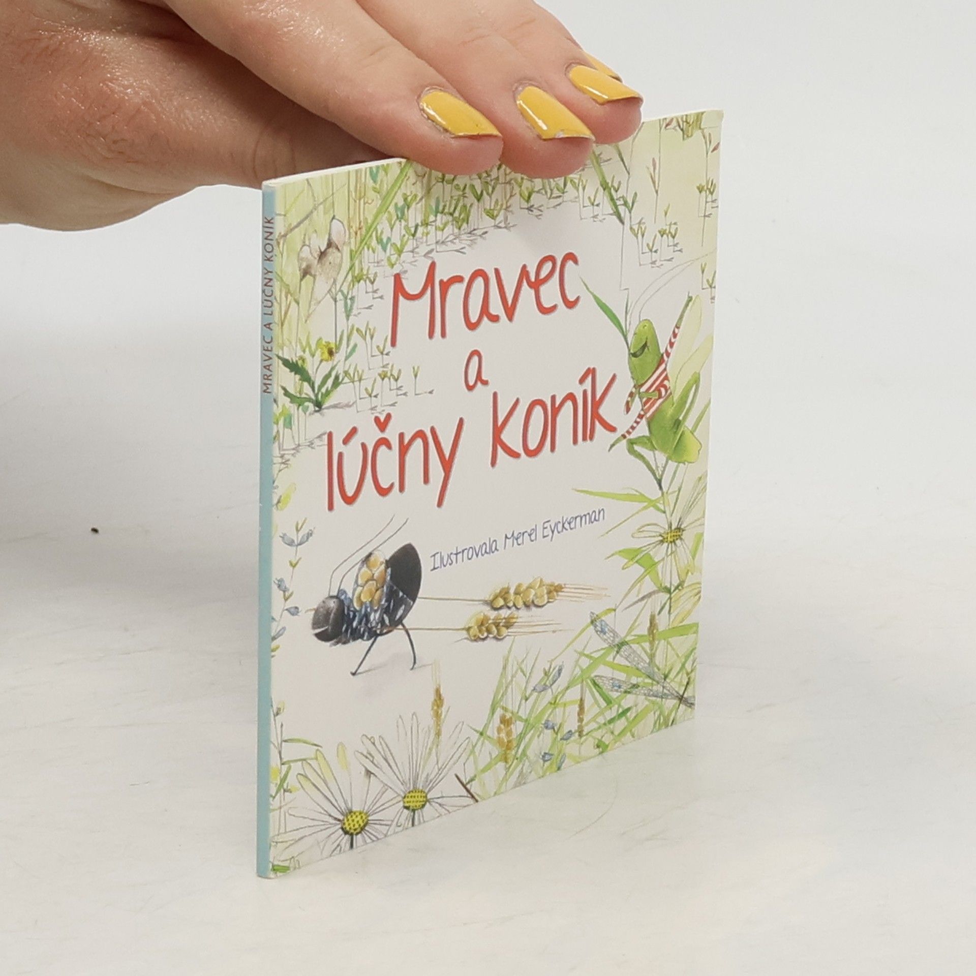 Mravec a lúčny koník