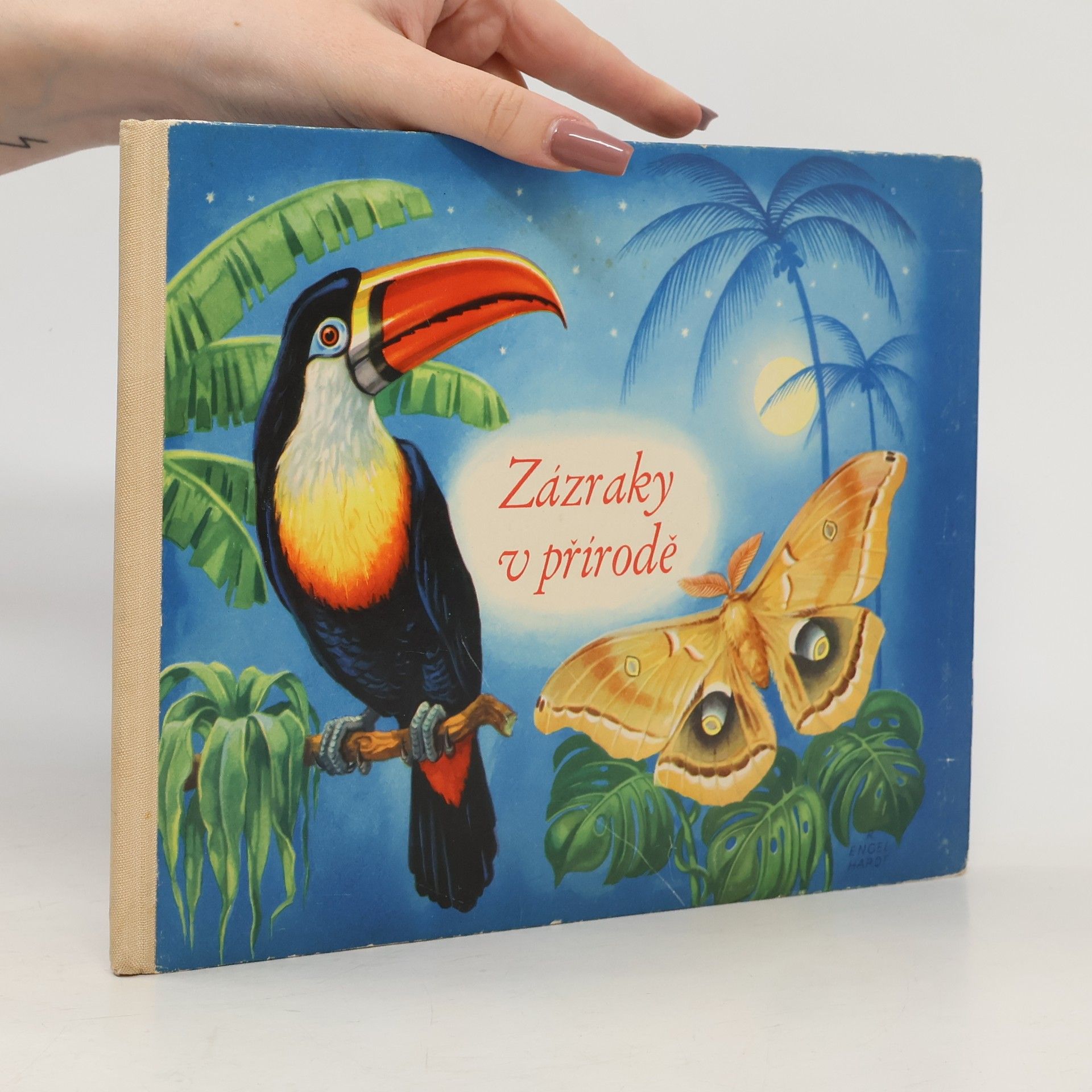 Marta Chmelová Zázraky v přírodě. Pedagogická obrázková kniha