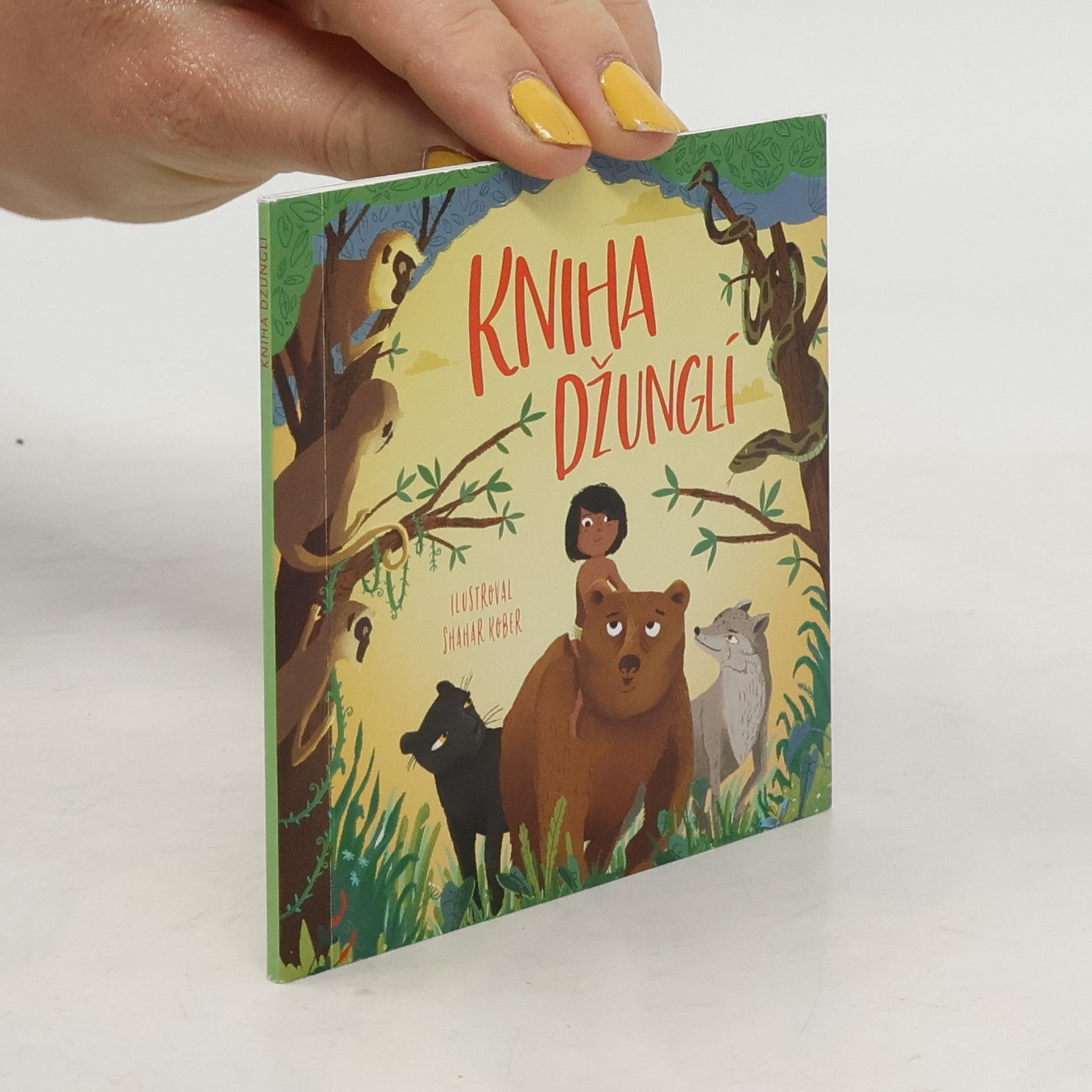 Various authors Kniha džunglí