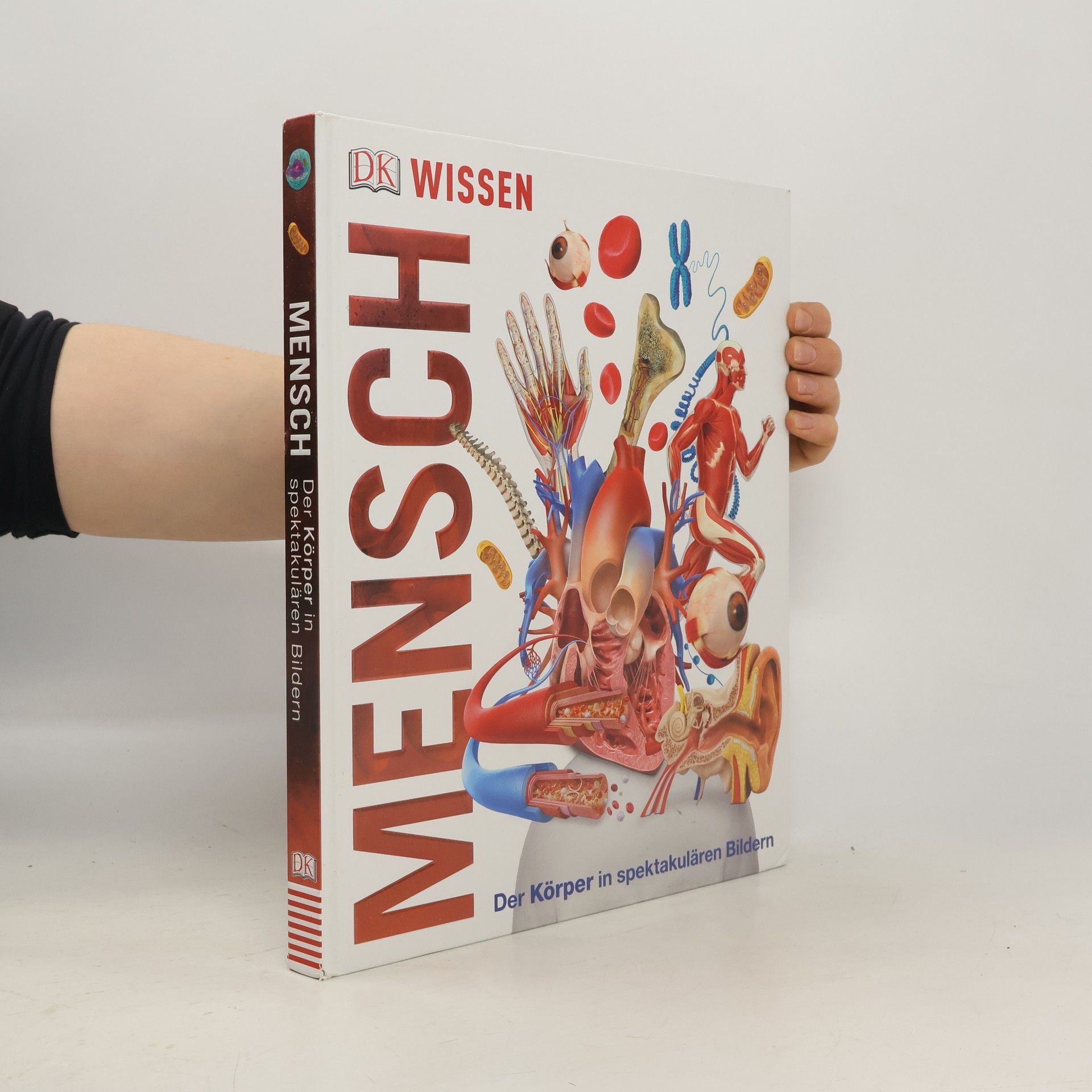 Auteurscollectief Mensch - der Körper in spektakulären Bildern