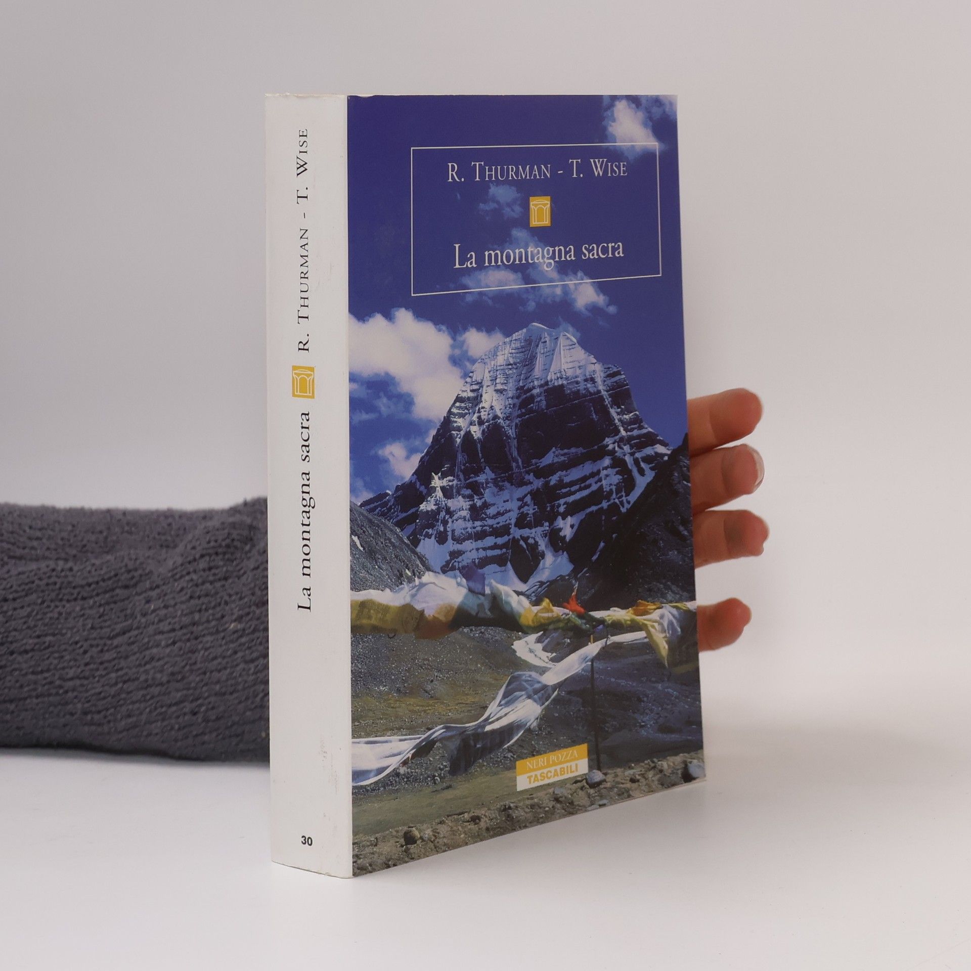 Tad Wise La montagna sacra