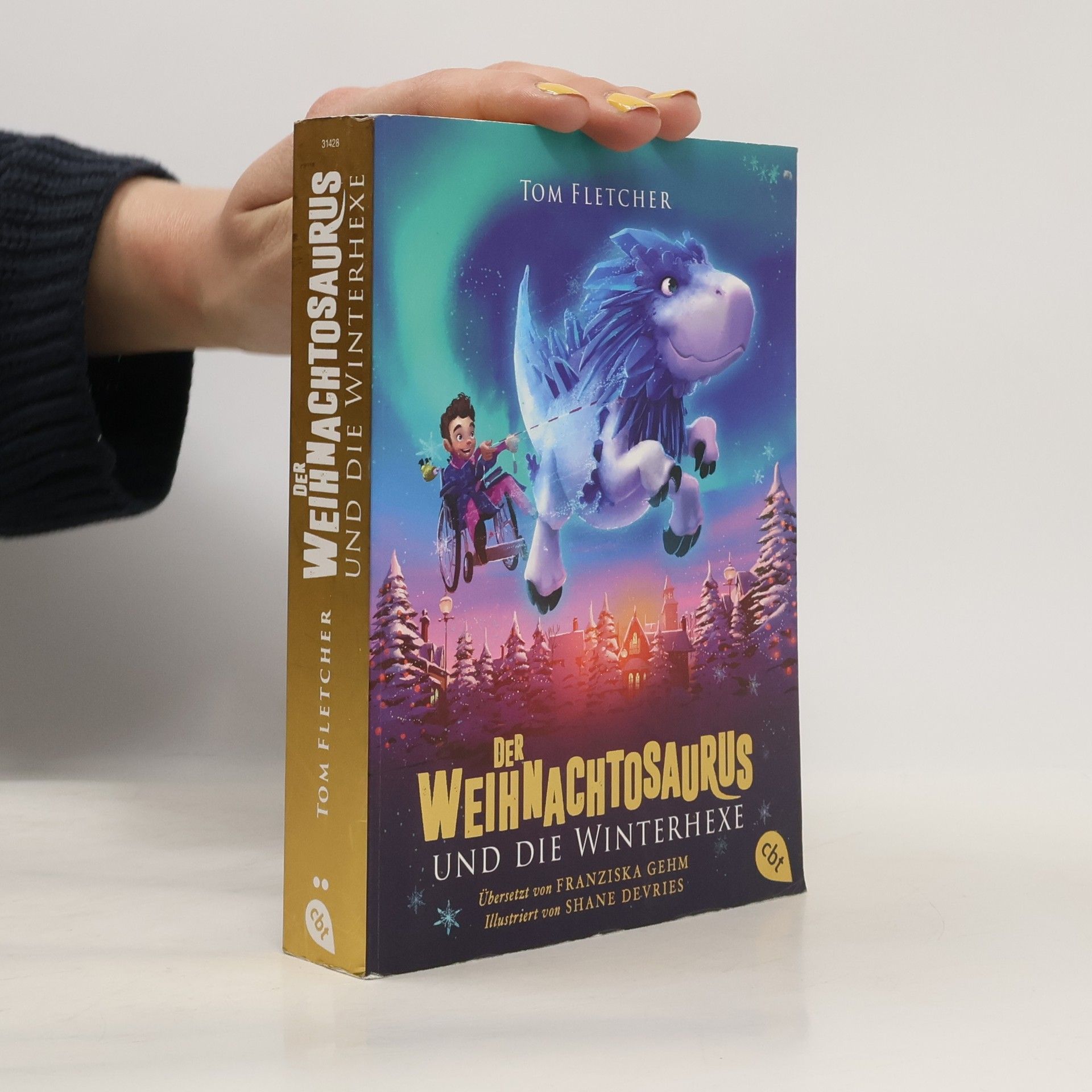 Tom Fletcher Der Weihnachtosaurus und die Winterhexe