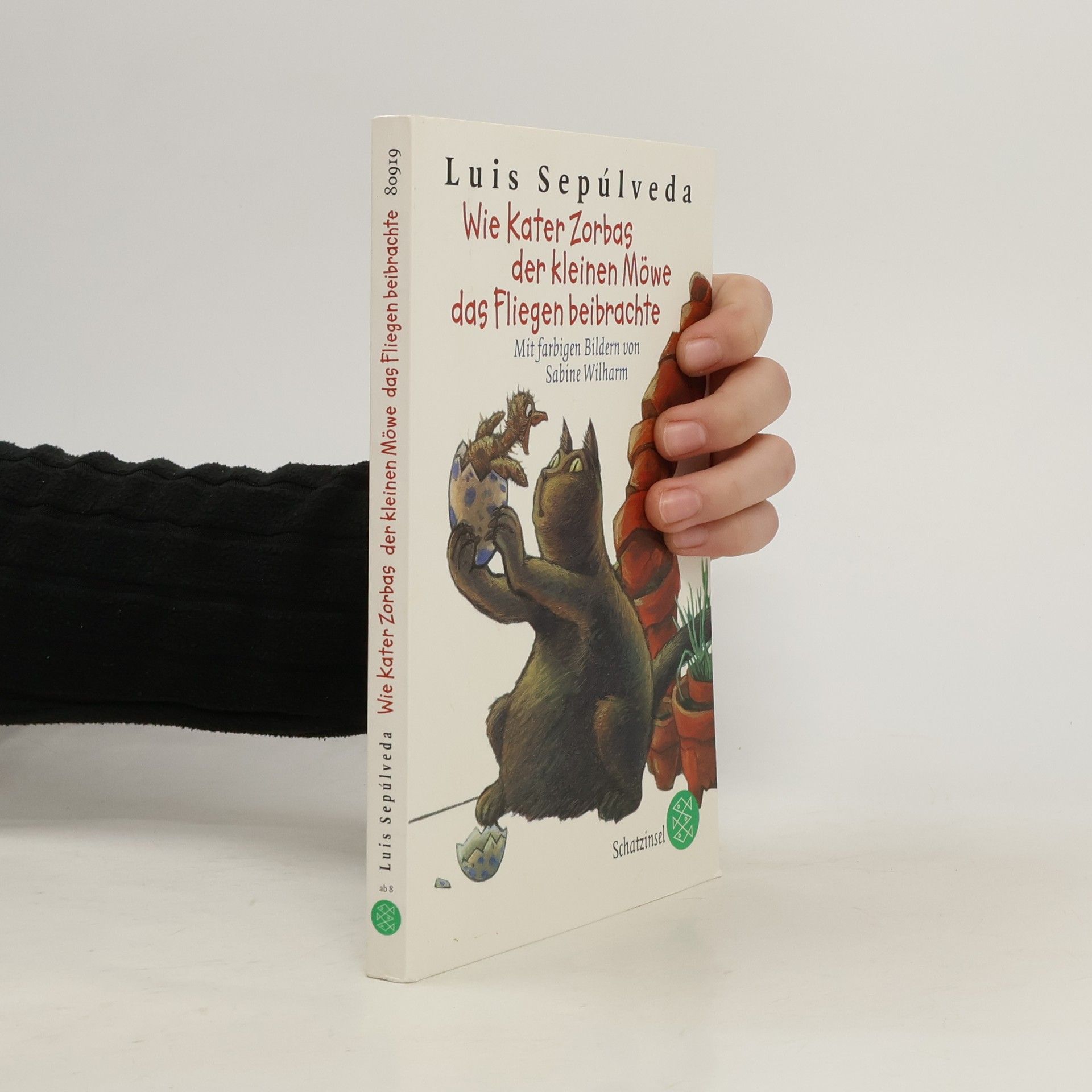 Luis Sepúlveda Wie Kater Zorbas der kleinen Möwe das Fliegen beibrachte