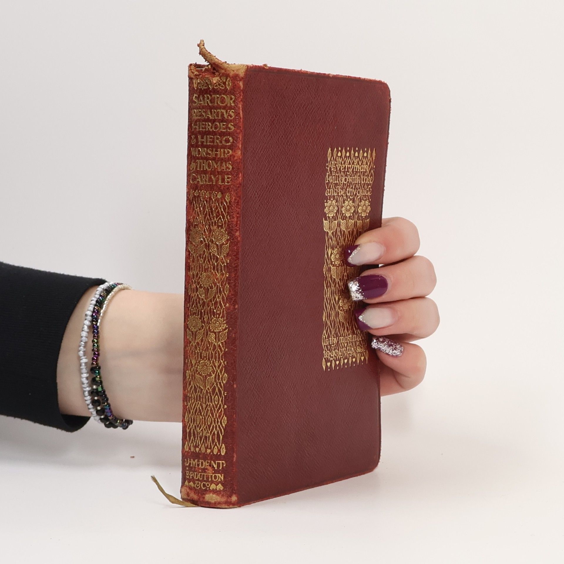 Kolektiv autorů Sartor Resartvs Heroes & Hero Worship