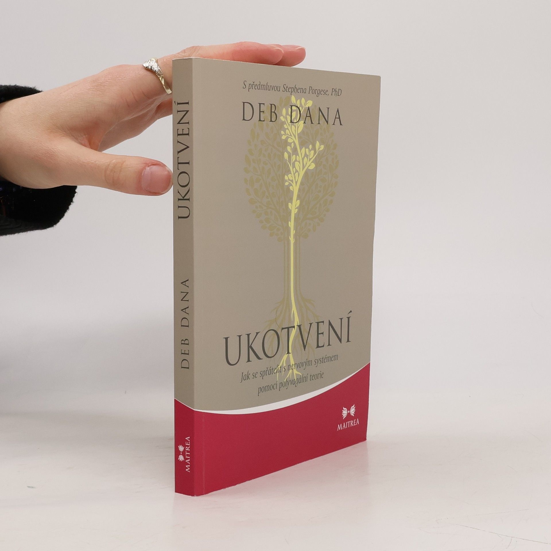 Ukotvení. Jak se spřátelit s nervovým systémem pomocí polyvagální teorie