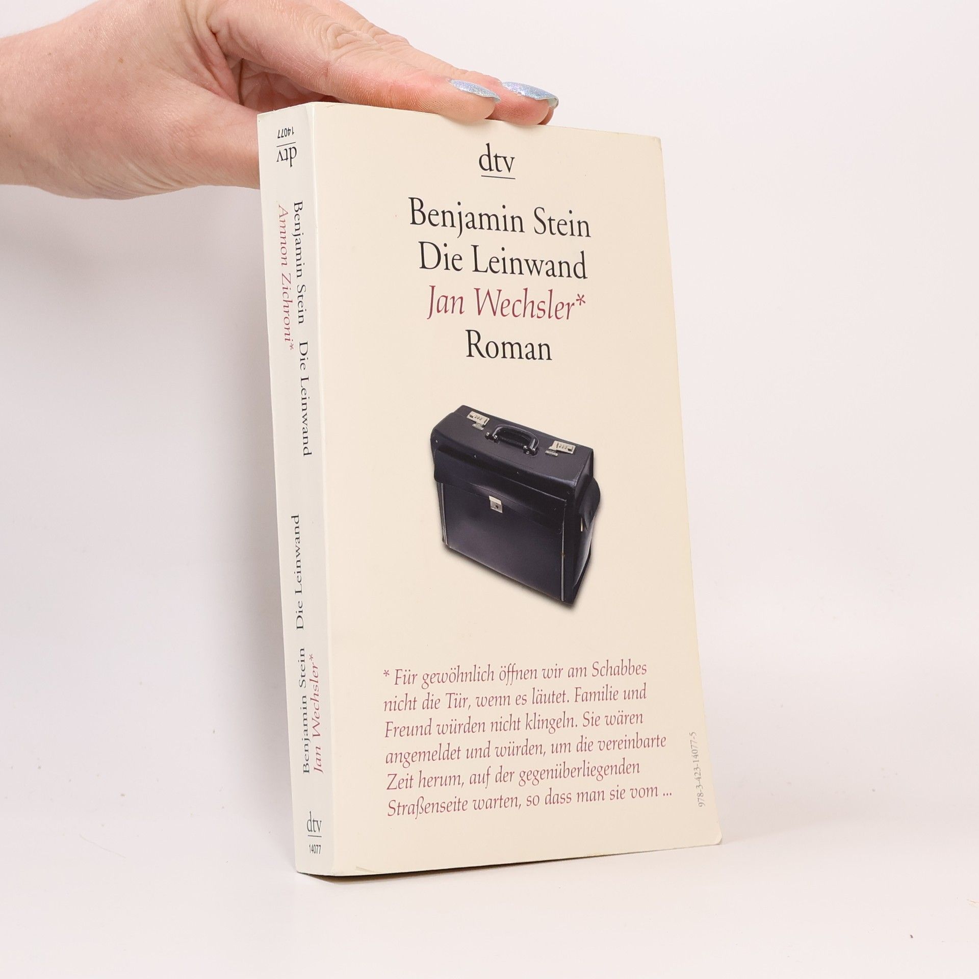 Benjamin Stein Die Leinwand