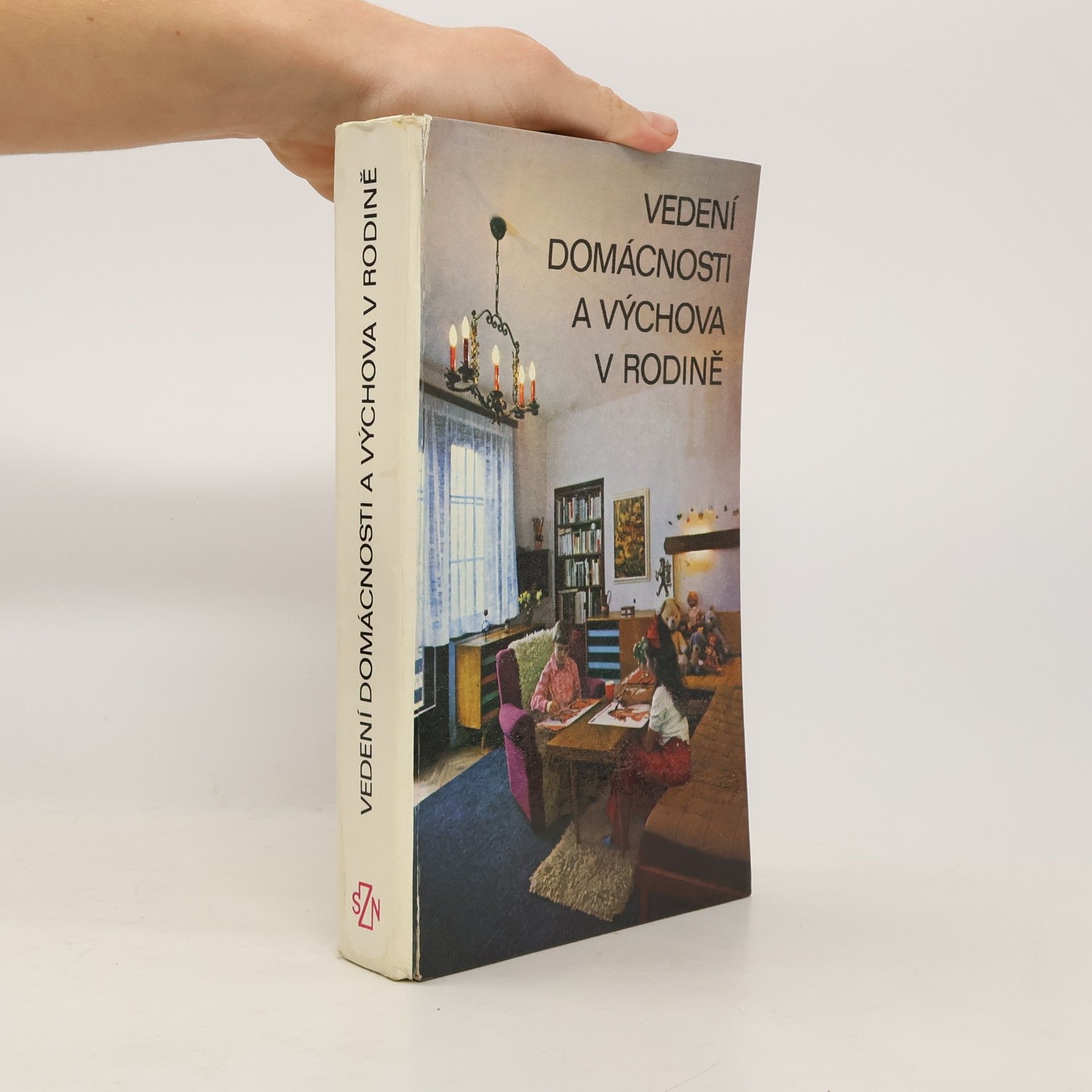 Vedení domácnosti a výchova v rodině