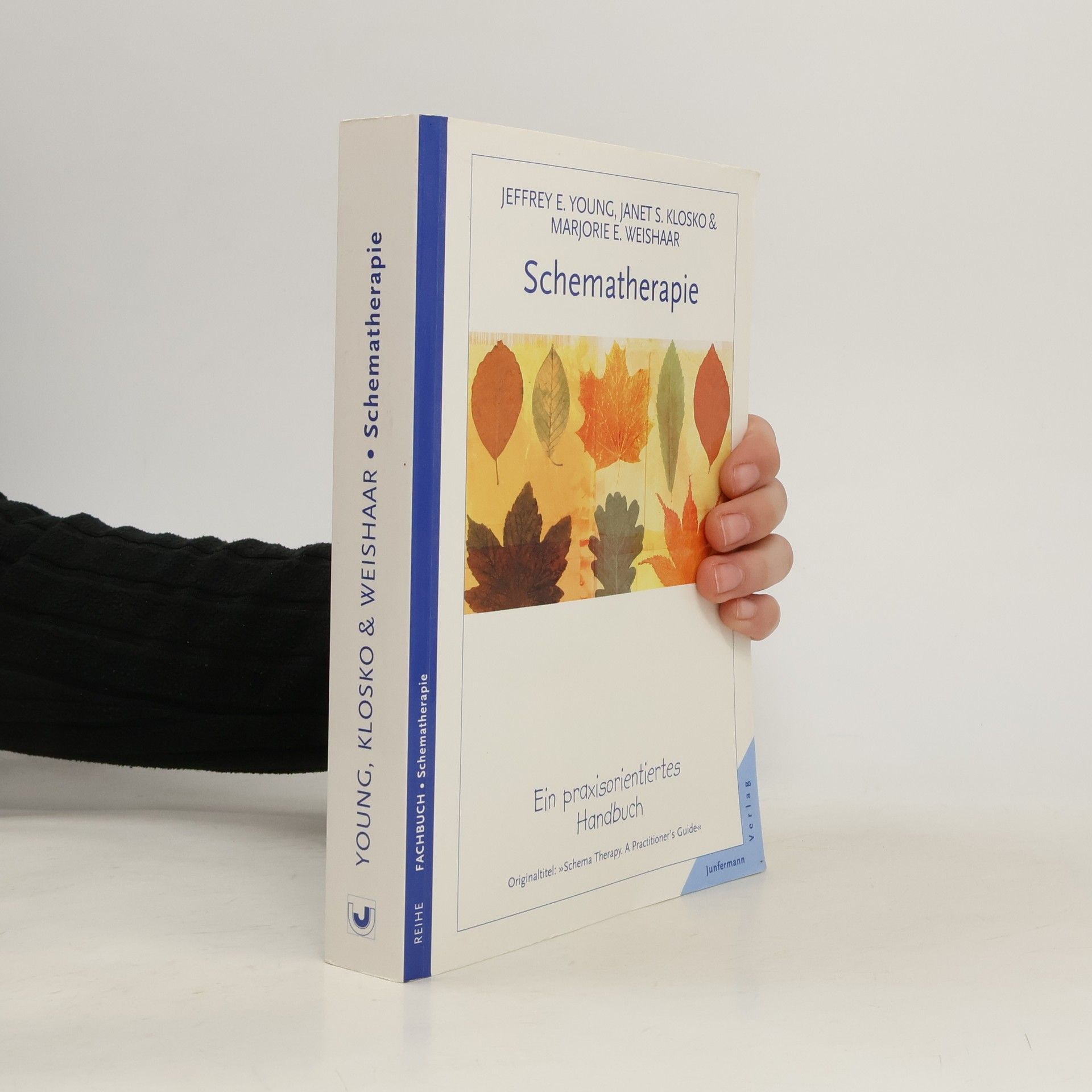 Jeffrey Young Schematherapie