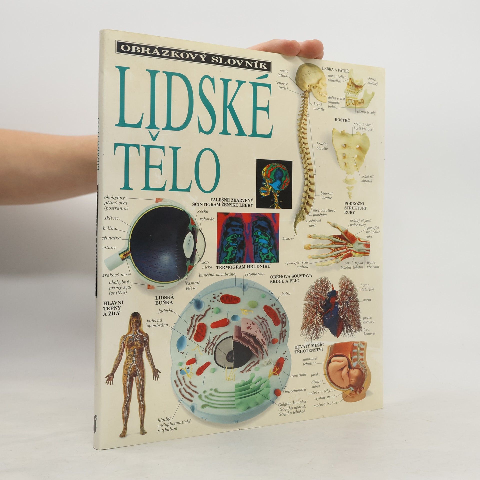 Jan Forejt Lidské tělo