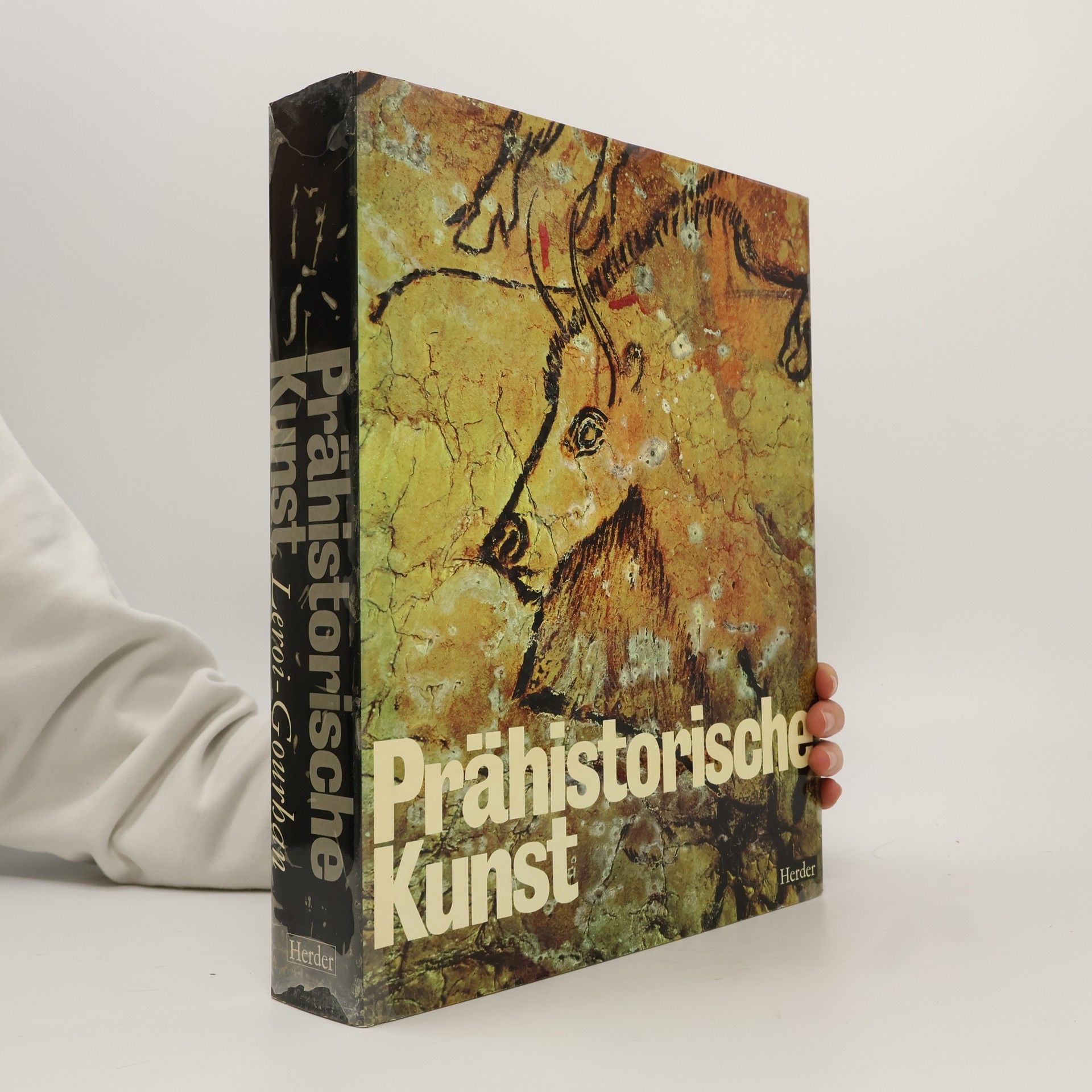 André Leroi-Gourhan Prähistorische Kunst