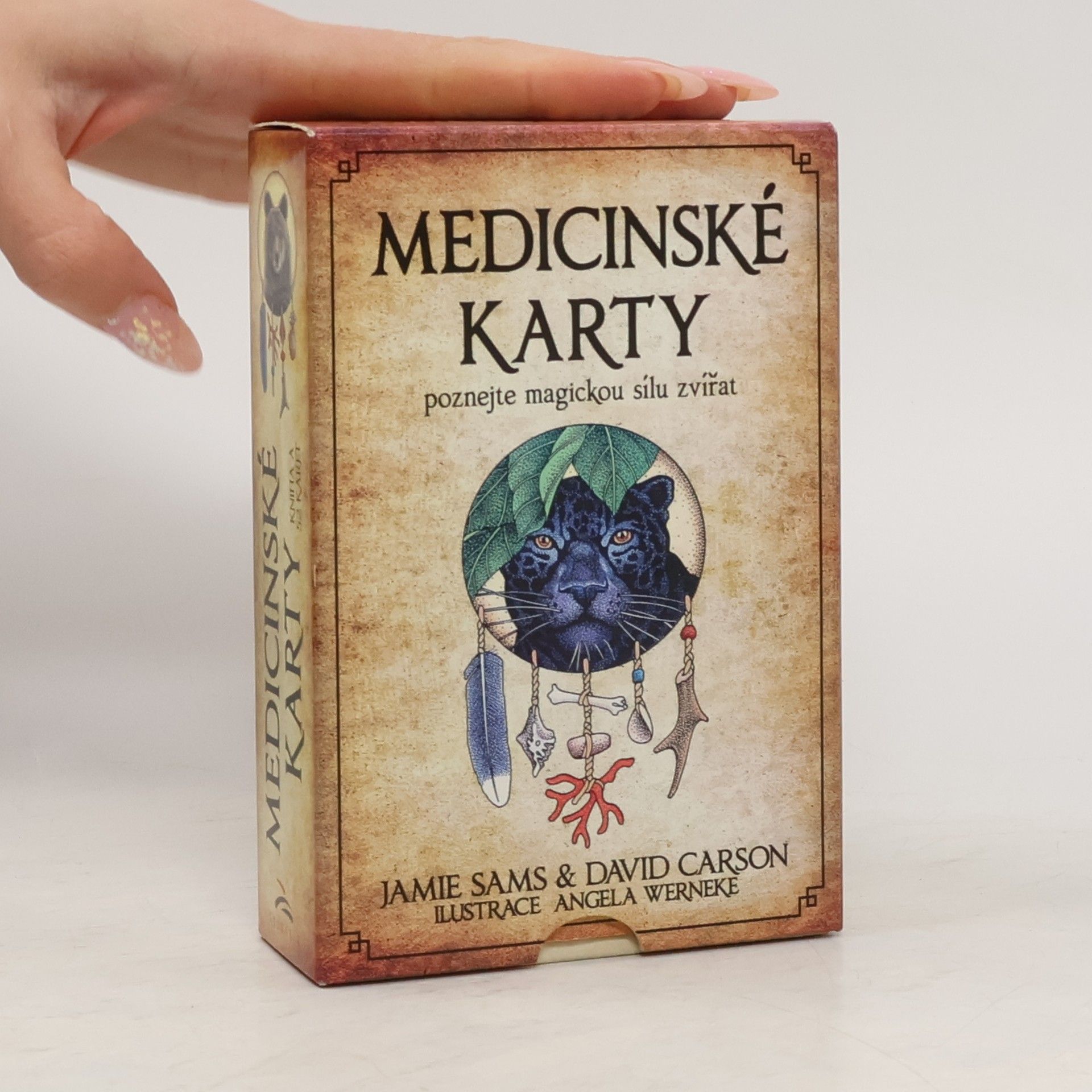Jamie Sams Medicinské karty. Poznejte magickou sílu zvířat