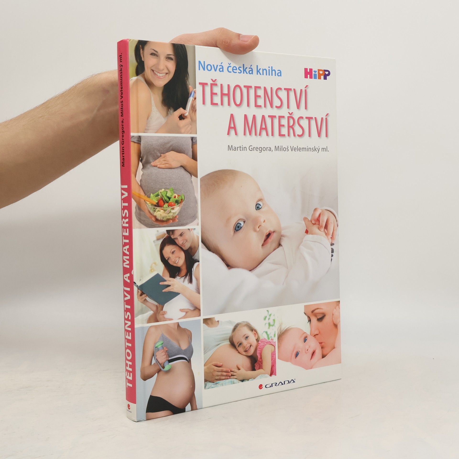 Martin Gregor-Dellin Těhotenství a mateřství