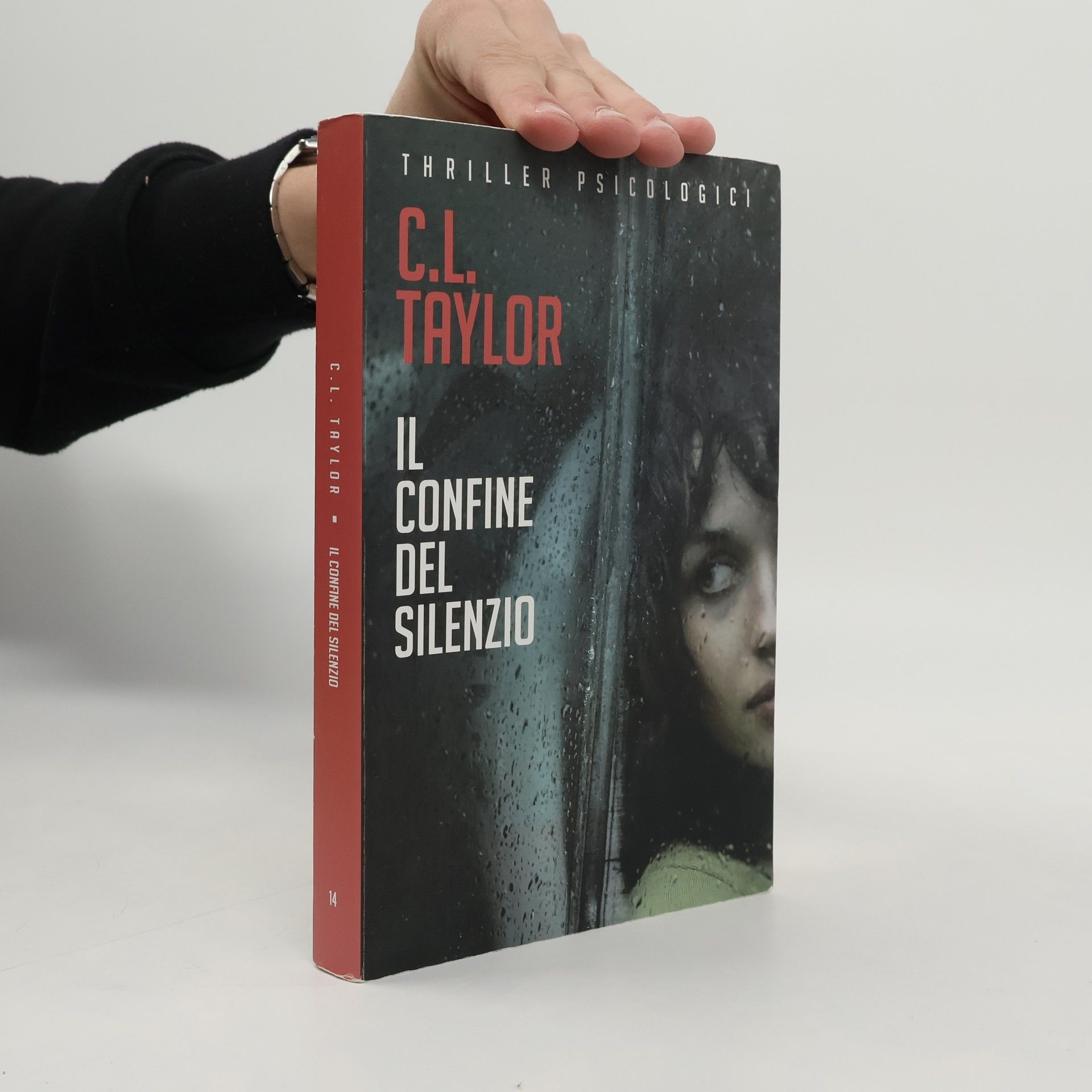 C.L. Taylor Il confine del silenzio