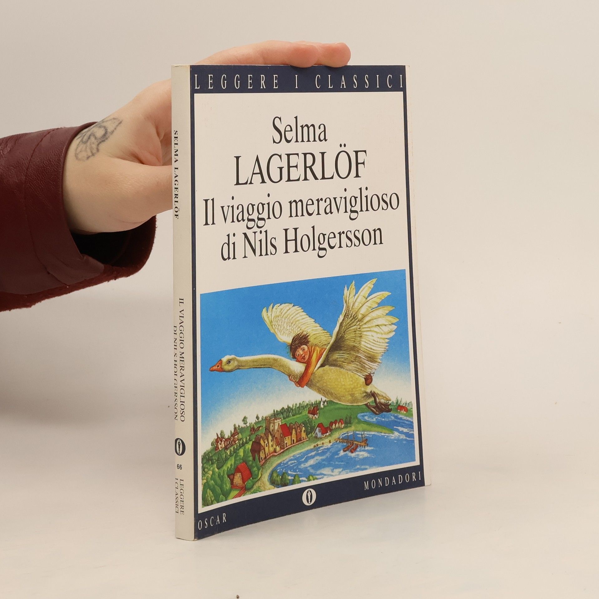 Francesco Saba Sardi Il viaggio meraviglioso di Nils Holgersson