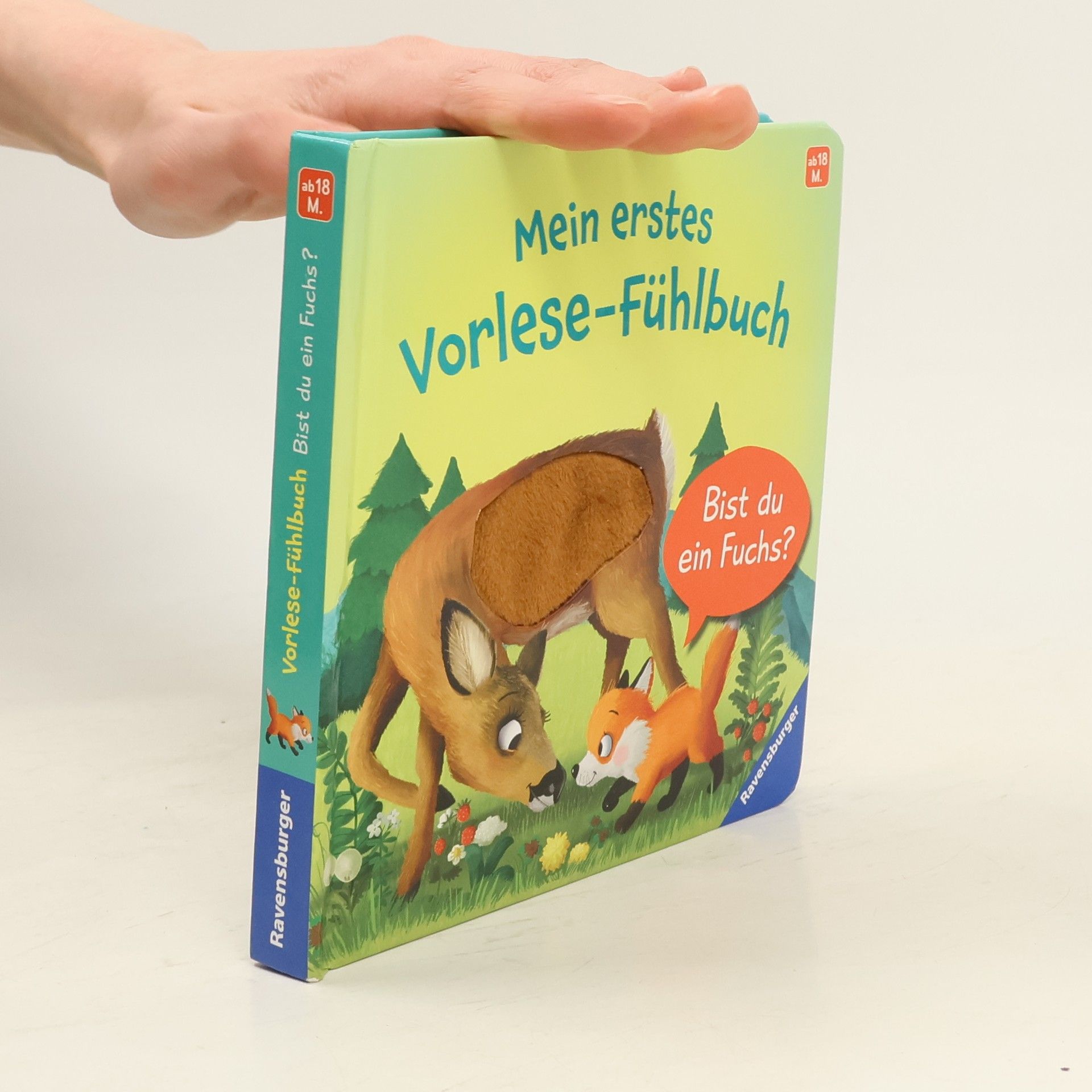 Iris Blanck Mein erstes Vorlese-Fühlbuch: Bist du ein Fuchs?