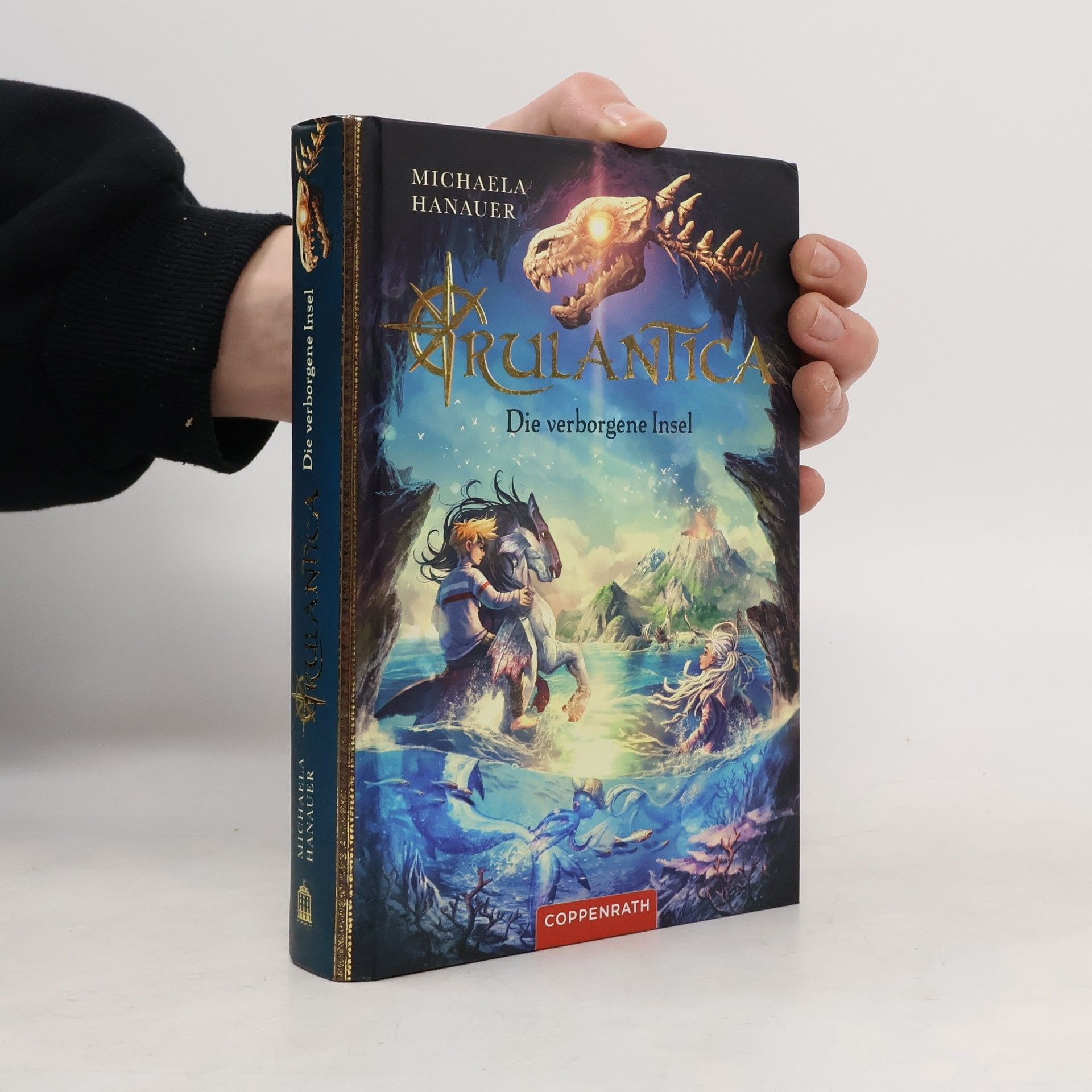 Michaela Hanauer Die verborgene Insel