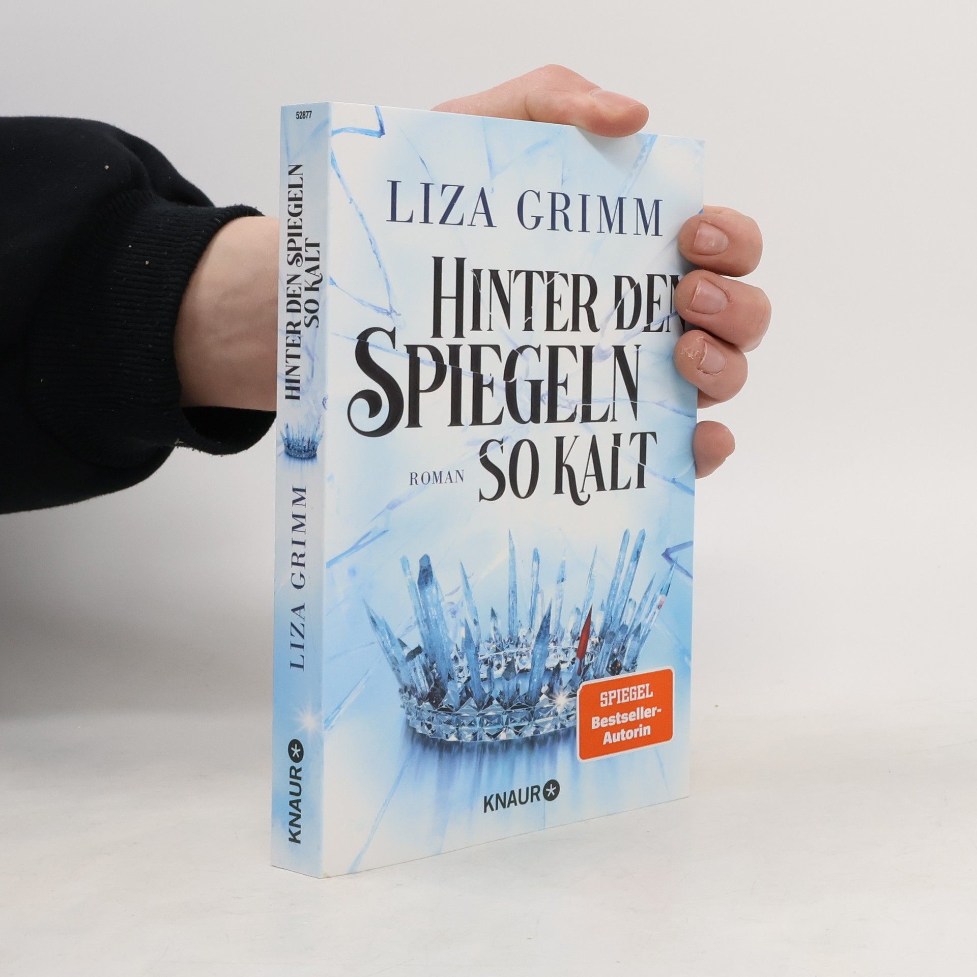 Liza Grimm Hinter den Spiegeln so kalt