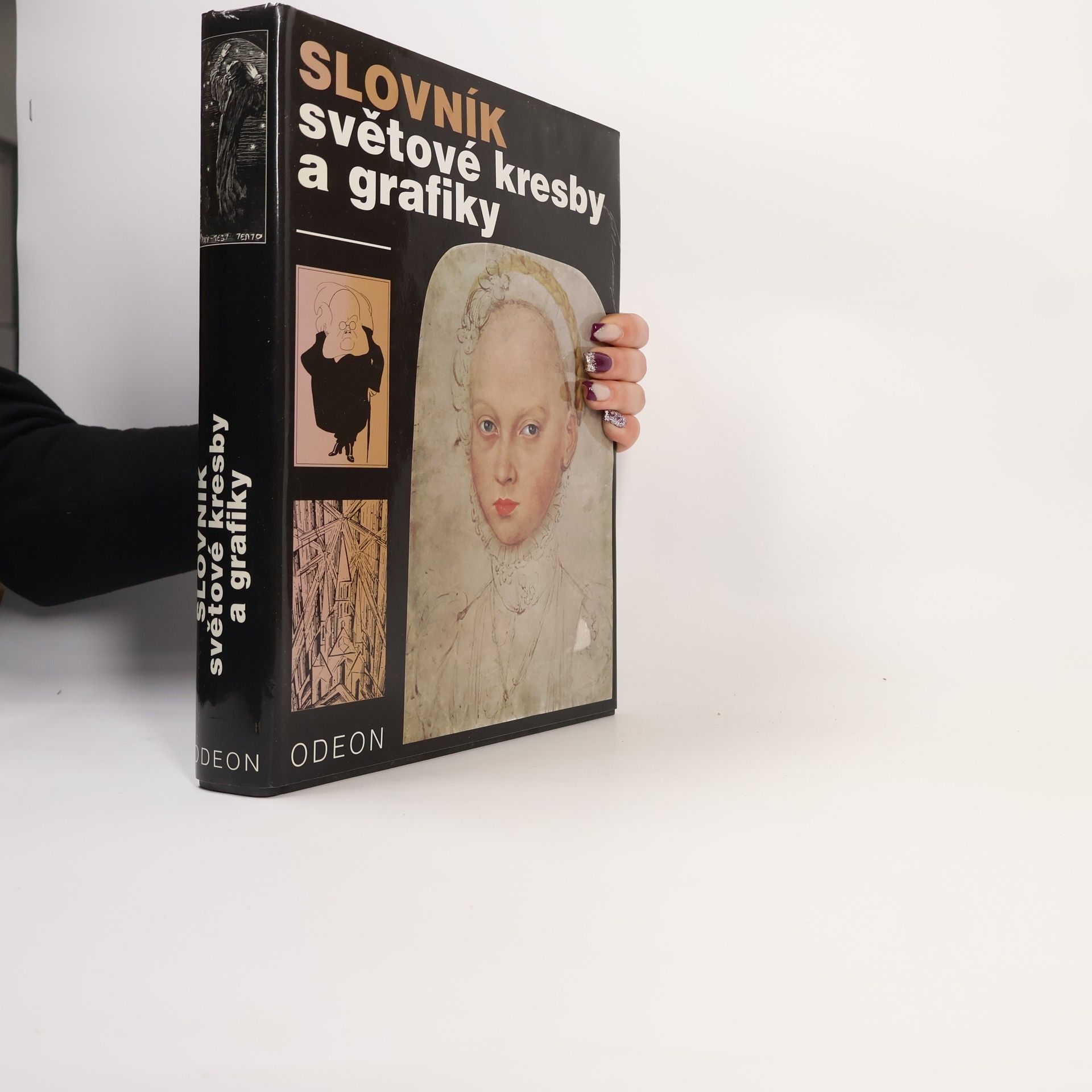 Kolektív autorov Slovník světové kresby a grafiky