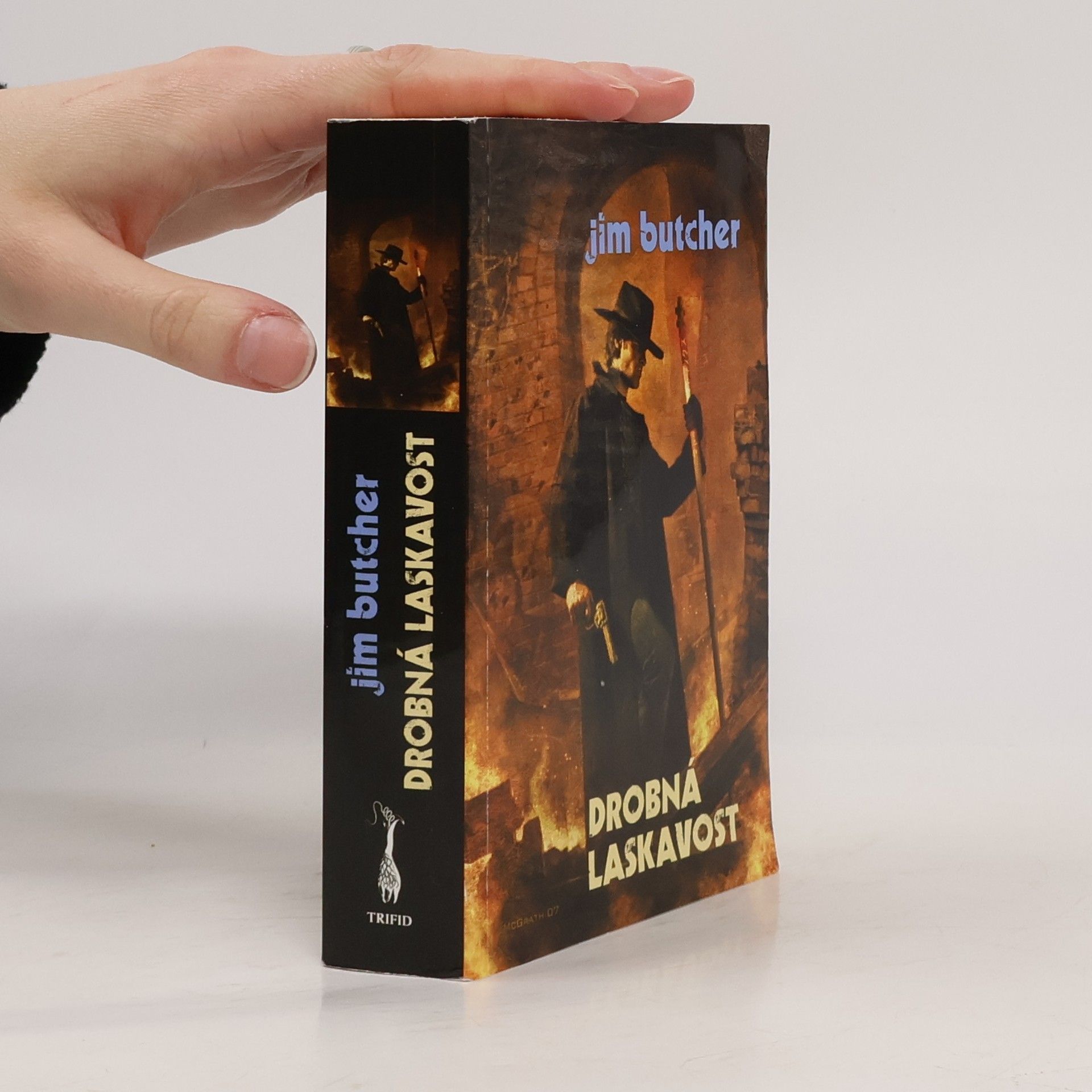 Jim Butcher Drobná laskavost