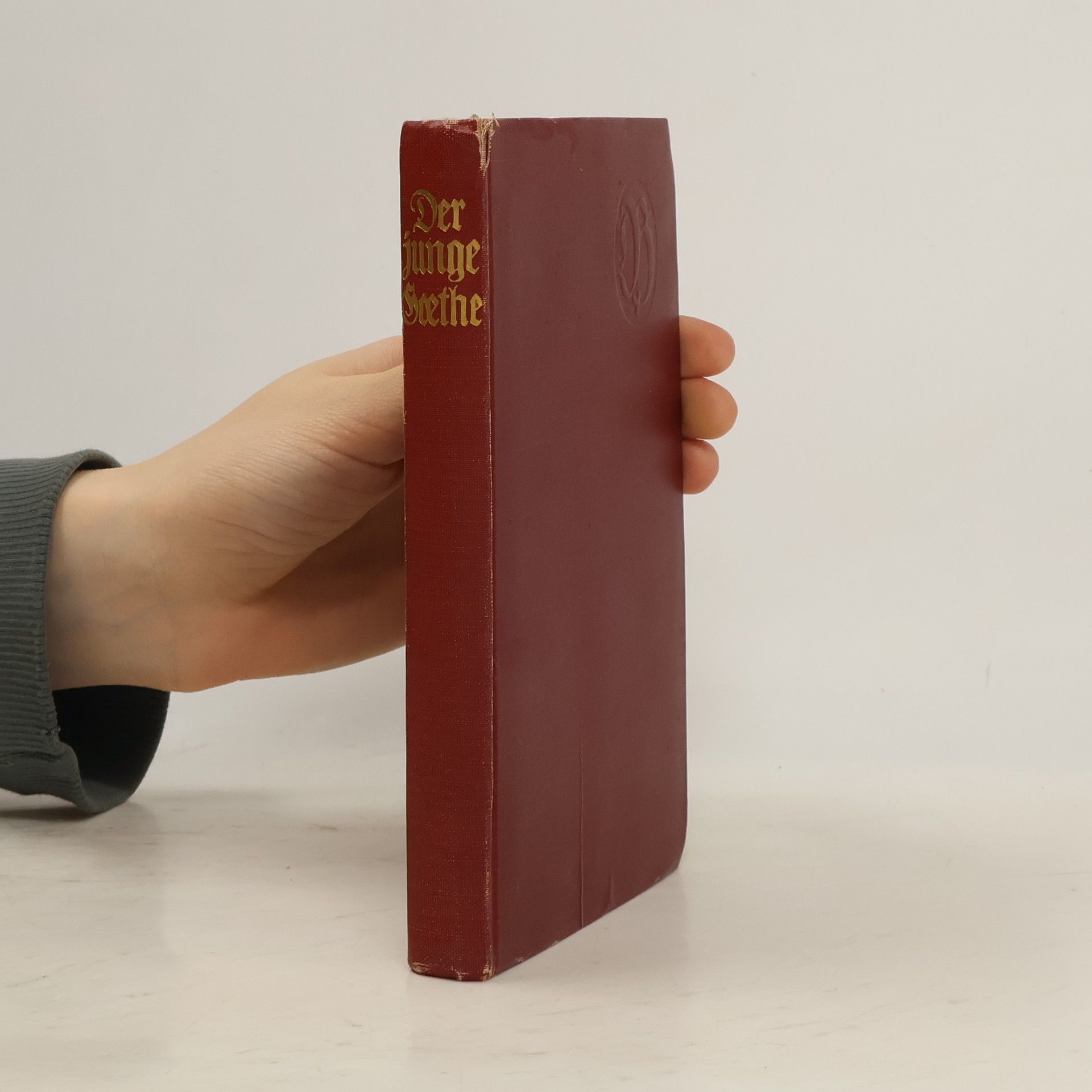 Kolektiv autorů Der junge Goethe