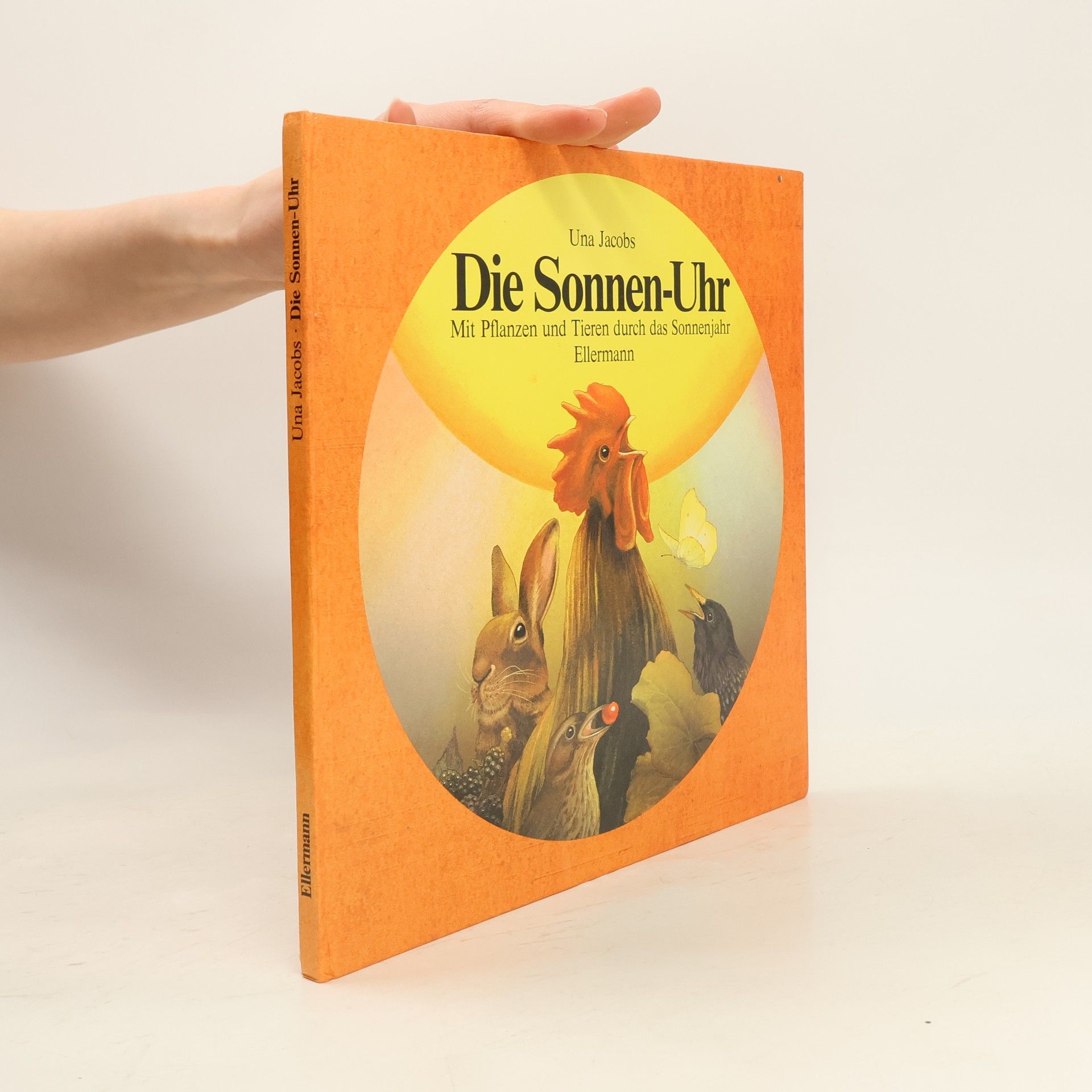 Una Jacobs Die Sonnen-Uhr
