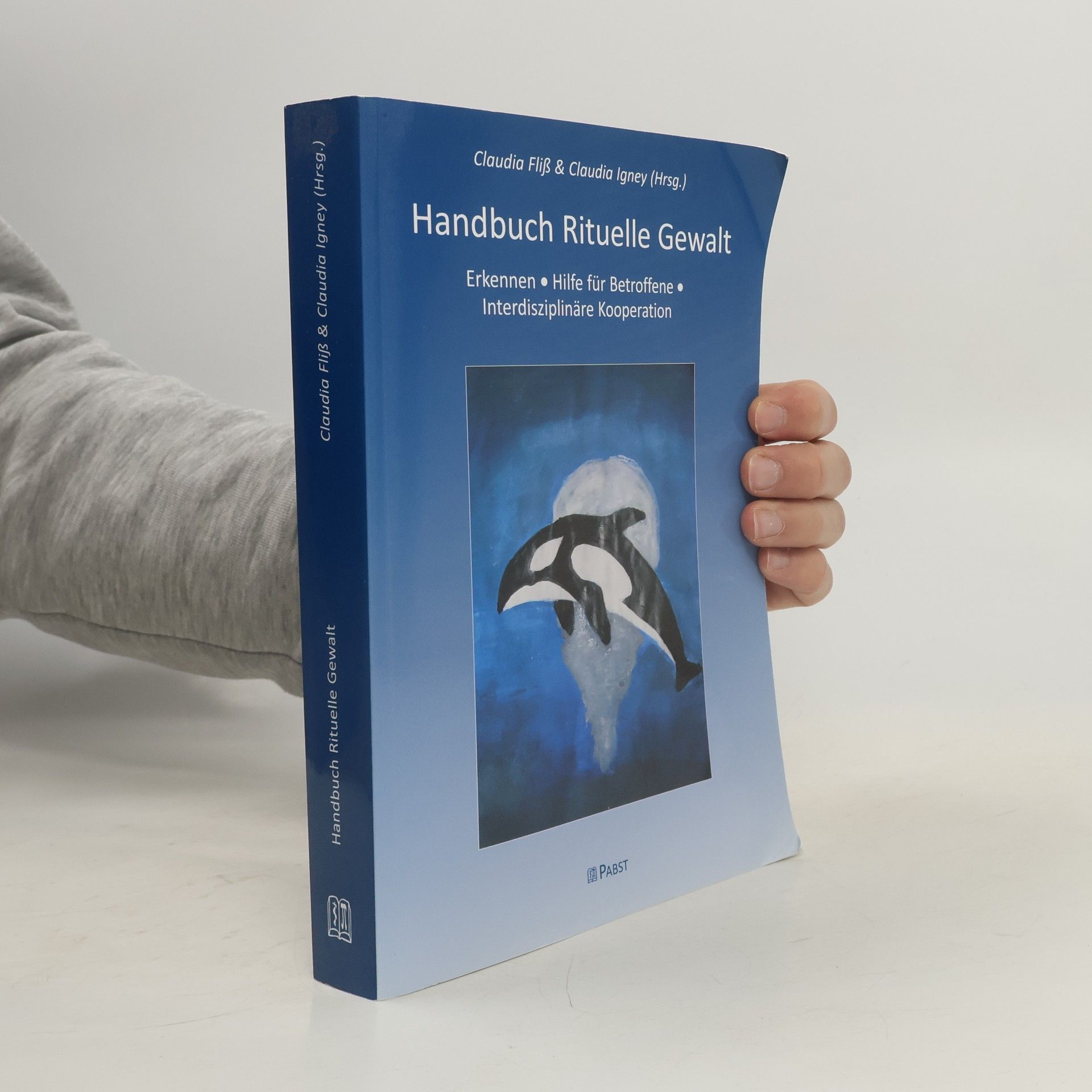 Claudia Fliß Handbuch Rituelle Gewalt