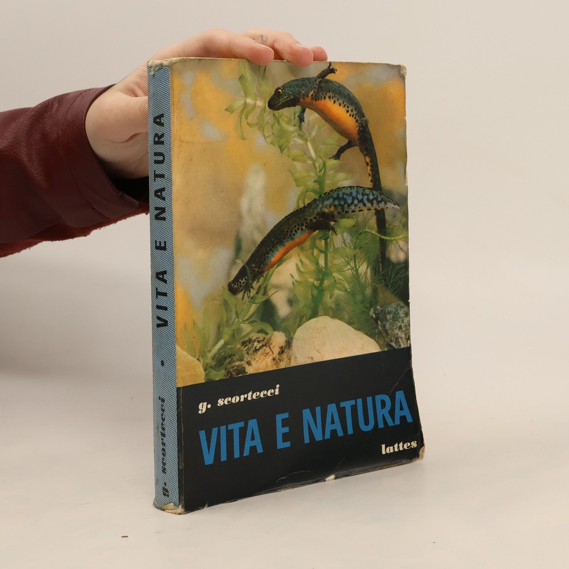 G. Scortecci Vita e Natura