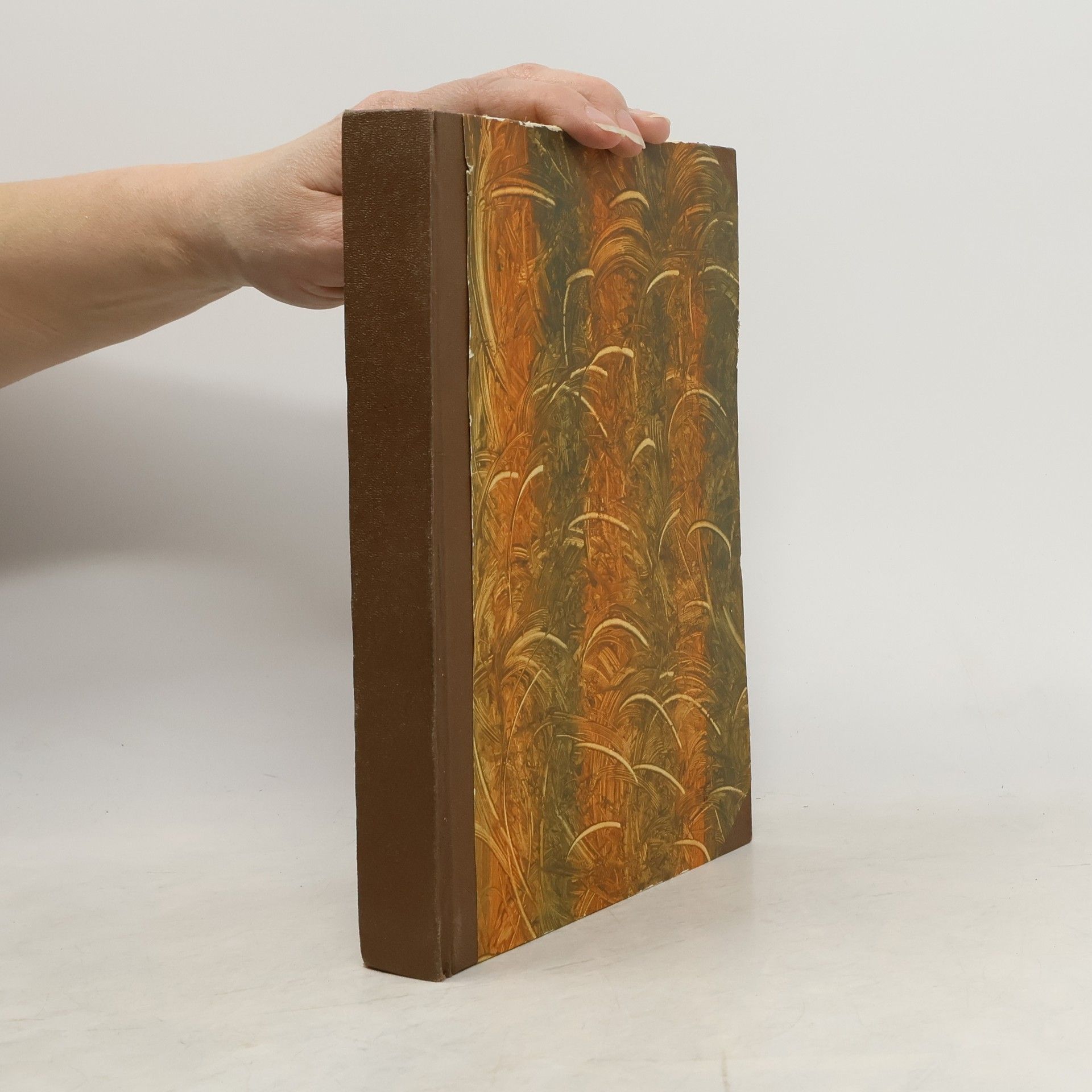 Kolektiv autorů Deutsche Lieder