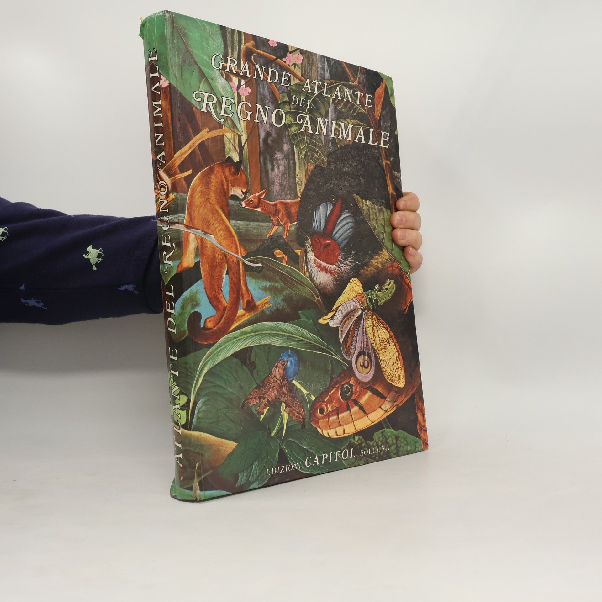 AA.VV. Grande atlante del regno animale